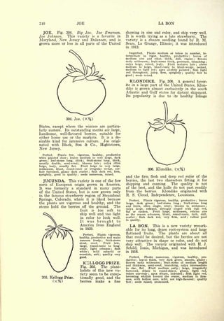 Cyclopedia of Hardy Fruits; by U. P. Hedrick (1922) 