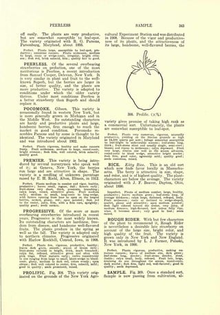 Cyclopedia of Hardy Fruits; by U. P. Hedrick (1922) 