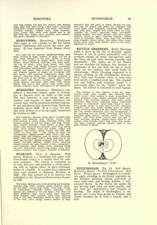 BOROVINKA                                                                                                  BUCKINGHAM                                              21

ered with crimson and dark red, striped ; dots distinct,                                                                furrowed    skin dull green or yellow, blushed and mot-
                                                                                                                                        ;


large, light with some having a dark center calyx-tube                                                      ;
                                                                                                                        tled with red striped with deeper red, roughened with
funnel-form stamens marginal core small cells closed ;
                  ;                                                 ;                           ;
                                                                                                                        russet flecks, often irregularly overspread with russet ;
core-lines  meeting    carpels  ovate   seeds
                                           ;  numerous,                         ;
                                                                                                                        dots small, gray, mingled with others which are large,
large, plump    flesh white, often stained next to the
                          ;                                                                                             irregular   and russet ; calyx-tube large, cone-shape ;
skin firm, fine, tender, juicy, aromatic, mild subacid ;                                                                stamens median ; core small, abaxile cells often unsym-        ;


very good ; September to November.                                                                                      metrical, closed or open ; core-lines clasping        carpels                 ;

                                                                                                                        round or obcordate, tufted      seeds when well developed
                                                                                                                                                                      ;



  BOROVINKA.                                               Barovitsky.                           Mushroom.              long, irregular, obtuse, tufted   flesh yellow, firm, coarse,
                                                                                                                                                                           ;


                                                                                                                        tender, juicy, crisp, brisk subacid ; good to very good ;
This apple                    is       very similar to the far better                                                   September to April.
known Oldenburg and                  serves the same pur-
poses.           It       was imported from Russia about                                                                  BOTTLE      GREENING. Bottle Greening
1875.                                                                                                                   holds a place in the list of desirable apples
   Tree small size but vigorous, upright-spreading, open.                                                               because it can be grown particularly well in
Fruit medium to large, uniform in shape but not in                                                                      northern regions on sandy and gravelly soils,
size,  round, flattened at the ends, regular or faintly                                                                 the trees, on such sites, bearing annually and
ribbed ; stem medium in length, thick        cavity acute,                                  ;


shallow, broad, furrowed, sometimes with faint radiat-                                                                  abundantly.   The apples are fit for dessert
ing rays of russet ; calyx large, closed, with broad                                                                    and are excellent for cookery, but, because of
lobes ; basin deep, wide, abrupt, furrowed, occasionally                                                                tenderness of skin and flesh, are not of much
with mammiform protuberances ; skin thin, very tender,
smooth, pale yellow, often covered with broken stripes
                                                                                                                        value for the market; they scald badly in
and irregular splashes of bright red, overspread with                                                                   cold-storage. Bottle Greening originated as a
thin bloom ; dots numerous, conspicuous, small, light                                                                   chance seedling on the dividing-line between
colored ; calyx-tube large, wide, urn-shape widening in
the lower part of the cylinder      stamens median ; core               ;
                                                                                                                        New York         and Vermont, where it came into
small, axile ; cells closed   core-lines clasping  carpels ;                                                    ;       fruit nearly a      hundred years ago. The original
round, concave, mucronate      seeds large, wide, plump,       ;
                                                                                                                        tree        was hollow, and workmen found it a
obtuse,  dark brown ; flesh yellow, crisp, tender, juicy,
subacid, aromatic    good ; mid-August to mid-September.
                                   ;
                                                                                                                        convenient place for the "bottle," hence the
                                                                                                                        name.               Its culture is restricted to cold regions.
  BORSDORF.         Borsdorjer. Borsdorf is con-
                                                                                                                           Tree medium in size, vigorous, round and open
sidered a first-class dessert apple in Europe,                                                                                                                                                                 ;

                                                                                                                        branches long, stout, crooked, with yellowish bark.
but in America falls far short of this rank.                                                                            Leaves broad.     Fruit medium to large, round-oblate to
The tree, however, is very hardy and pro-                                                                               ovate, sometimes conic, regular, obscurely ribbed, sym-
                                                                                                                        metrical, sides sometimes unequal        stem short
ductive, and because of these characters the                                                                                                                                   cavity
                                                                                                                                                                                   ;                      ;


                                                                                                                        acuminate, deep, broad, sometimes lipped, indistinctly
variety may well be planted in northern regions.                                                                        furrowed or compressed       calyx large, closed or open ;
                                                                                                                                                          ;

It was introduced into America from Germany,                                                                            basin abrupt, narrow to wide, often furrowed, sometimes
                                                                                                                        wrinkled     skin thin, tough, smooth, green or yellow,
probably about 1830. It is a very old sort,                                                                                             ;


                                                                                                                        thinly washed or blushed with dull crimson, not striped
and some believe it to be the apple mentioned                                                                           dots few, usually submerged, pale and inconspicuous, a
                                                                                                                                                                                                               ;




by Cordus                 in 1561.                                                                                      few scattering ones are russet      prevailing color green
                                                                                                                                                                               ;                               ;

                                                                                                                        calyx-tube large, conical    stamens median
                                                                                                                                                              ;           core small,           ;

   Tree moderately vigorous, round, dense branches long,                                    ;                           abaxile    cells often closed towards apex and open at
                                                                                                                                    ;

slender, with numerous small laterals.       Leaves broad.                                                              base   ;core-lines clasping   carpels broad,
                                                                                                                                                                  ;    round to ob-
Fruit medium to small, oblate, somewhat ribbed, sides                                                                   cordate    seeds medium, acute
                                                                                                                                    ;                      flesh white, firm, tender,
                                                                                                                                                                           ;


unequal, uniform in size and shape      stem long, slender,                 ;                                           very jtricy, aromatic, pleasant subacid        good to very        ;

often inclined obliquely    cavity shallow to deep, wide,
                                                   ;                                                                    good October to March.
                                                                                                                                ;

obtuse, often furrowed and russeted     calyx large, partly                 ;


open ;
         basin shallow, wide and obtuse, ridged and
wrinkled     skin yellow, partly washed with dull light
             ;

scarlet and oiten mar''       with streaks of russet and
                                                       *



inconspicuous capillary-netted russet lines      dots scat-                                         ;


tering, large and irregular, gray or russet      calyx-tube                                             ;


short, wide, cone-shape,   with a fleshy projection of the
pistil into its base  stamens marginal core small, axile,
                                       ;                                            ;

closed   ;
          core-lines meeting    carpels broad, narrowing       ;


sharply towards the apex, truncate at base, emarginate                                                              ;

seeds numerous, small, plump, acute, compactly filling
the cells  flesh yellow, coarse, crisp, tender, juicy, mild,
             ;


subacid, aromatic    fair to good ; November to February.
                                   ;




  BOSKOOP.          Belle de Boscoop.     Well
grown, Boskoop is a handsome fall apple with
considerable merit as a market fruit for culi-
nary purposes. The variety is capricious as                                                                                                                                        (X%)
to soils, however, and probably is worth plant-
                                                                                                                                                13.   Buckingham.
ing only in regions where its great hardiness
makes it valuable.              have originated    It          is   said to
                                                                                                                          BUCKINGHAM.                                     Fig.     13.         Fall       Queen.
from seed planted                                                                                                       Kentucky Queen.                  Ne
                                                                                                                                                Plus Ultra Queen. Red
                        Boskoop, Holland, in           at
                                                                                                                        Horse. Winter Queen. Buckingham is a south-
1856.  The first account of it in America was
                                                                                                                        ern apple, attaining in the South, especially on
published in the Montreal Horticultural Report                                                                          the Atlantic seaboard, almost perfection in
in 1881.
                                                                                                                        form and color, and having, besides, a rich,
   Tree large, vigorous, open, wide-spreading and drooping ;                                                            pleasant flavor. In the North, the apples do
branches long, stout, crooked, lateral branches numer-                                                                  not develop high color nor good quality, and
ous and small. Leaves large, broad. Fruit large, oblate,
or   round-oblate,    obscurely   ribbed,  sometimes   with                                                             the trees are unproductive and irregular in
oblique axis, uniform in size and shape      stem short and                             ;                               bearing.   The origin of Buckingham is un-
thick, sometimes long       cavity large, acute, furrowed,
often irregular, deep, russeted
                                               ;
                                                                                                                        known, but it has been grown in Virginia and
                                      calyx large, segments
long or very long, acuminate, closed or open, separated
                                                                        ;
                                                                                                                        North Carolina for at least a century and a
at the base      basin abrupt, narrow, shallow to deep,
                      ;                                                                                                 half.
 