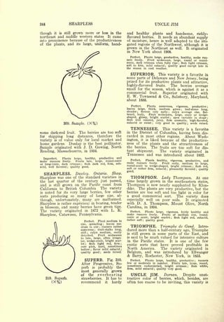 Cyclopedia of Hardy Fruits; by U. P. Hedrick (1922) 
