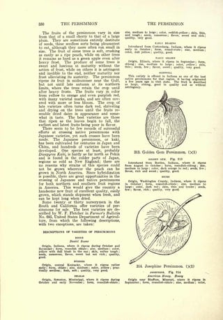 Cyclopedia of Hardy Fruits; by U. P. Hedrick (1922) 