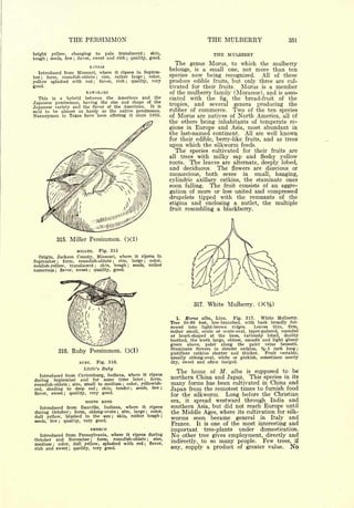 Cyclopedia of Hardy Fruits; by U. P. Hedrick (1922) 