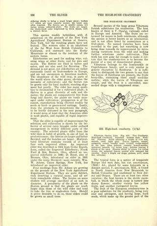 Cyclopedia of Hardy Fruits; by U. P. Hedrick (1922) 