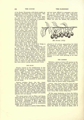 Cyclopedia of Hardy Fruits; by U. P. Hedrick (1922) 