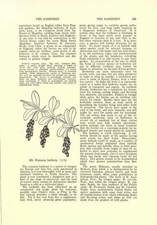 Cyclopedia of Hardy Fruits; by U. P. Hedrick (1922) 