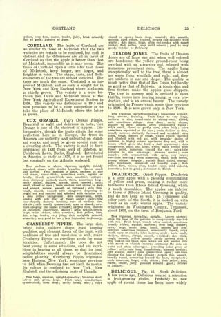 CORTLAND                                                                             DELICIOUS                                                                        25

yellow, very firm, coarse, tender,                     juicy,   brisk subacid   ;   closed or open ; basin deep, russeted ; skin smooth,
fair to good   January to June.
                   ;                                                                shining, light yellow, blushed, striped and splashed with
                                                                                    scarlet ; dots many, large, often red-areolar with russet
     CORTLAND.       The fruits of Cortland are                                     center ; flesh yellow, juicy, mild subacid ; good to very
                                                                                            October to February.
so similar to those of Mclntosh that the two                                        good    ;




varieties are certain to be confused, but each is
distinct and the differences are all in favor of
                                                                                         DEACON JONES.                                 The                 fruits of                   Deacon
                                                                                    Jones are of large size and when well colored
Cortland so that the apple is better than that                                      are handsome, the yellow ground-color being
of Mclntosh, impossible as it may seem. The                                         overlaid with an attractive red, relieved with
fruits of Cortland ripen a little later than those                                  numerous prominent dots. The apples hang
of Mclntosh, keep longer, are larger, and
                                                                                    exceptionally well to the tree, there is almost
brighter in color. The shape, taste, and flesh-                                     no waste from windfalls and culls, and they
characters of the two are almost identical. The                                     are uniform in size and shape. The quality is
trees are much the same. Cortland is an im-                                         much better than that of Ben Davis, but hardly
proved Mclntosh and as such is sought for in                                        as good as that of Baldwin. A tough skin and
New York               and   New       England where Mclntosh                       firm texture  make the apples good shippers.
is   chiefly grown.            The
                       variety is a cross be-                                       The   tree in nursery and in orchard is most
tween Ben Davis and Mclntosh made at the                                            thrifty, comes into bearing young, is very pro-
New York Agricultural Experiment Station in                                         ductive, and is an annual bearer. The variety
1898. The variety was distributed in 1915 and
                                                                                    originated in Pennsylvania some time previous
now promises to be a close competitor or to                                         to 1890. It is now grown only in New York.
take the place of Mclntosh where the latter
                                                                                         Tree vigorous, upright-spreading  branchlets willowy,
is   grown.                                                                                                                                        ;

                                                                                    long,    slender, drooping.   Fruit large to very large,
                                                                                    uniform in size, round-conic to oblong-conic, ribbed,
     COX ORANGE.        Cox's Orange Pippin.                                        axis sometimes oblique    stem short   cavity obtuse,
Beautiful to sight and delicious in taste, Cox
                                                                                                                           ;                                   ;

                                                                                    shallow to deep, smooth, often prominently lipped                                                                   ;


Orange is one of the choicest of apples. Un-                                        calyx       small,   closed   or
                                                                                                                 partly open, often leafy   lobes                                          ;

                                                                                    sometimes separated at the base ; basin shallow to deep,
fortunately, though the fruits attain the same                                      usually narrow, distinctly furrowed and wrinkled         skin                                              ;

perfection here as in Europe, the trees in                                          thick, tough, smooth or rough, waxen yellow, mottled
America are unthrifty and unfruitful on stand-                                      and blushed with red and with irregular dashes of
ard stocks, and must be given special care on                                       carmine, in highly colored specimens deep red, with a
                                                                                    bloom which gives the fruit a dull appearance            dots
a dwarfing stock. The variety is said to have
                                                                                                                                                                                               ;


                                                                                    conspicuous, small and large, white, many areolar with
originated in 1830 from seed of Ribston, at                                         russet   point,    numerous toward the eye         calyx-tube                          ;



Colnbrook Lawn, Bucks, England. Introduced                                          variable   in    size,  urn -shape   stamens median ; core
                                                                                                                                   ;

                                                                                    abaxile     cells
                                                                                                ;       symmetrical, wide open, very large                                                             ;

in America as early as 1850, it is as yet found                                     core-lines meeting      seeds numerous^ small, dark brown,
                                                                                                             ;


but sparingly on the Atlantic seaboard.                                             plump, obtuse, irregular ; carpels much tufted, emargi-
                                                                                    nate, mucronate, elongated and broadly ovate             flesh                                         ;


   Tree medium or above, vigorous, upright, thickly                                 yellow, firm, coarse, crisp, tender, juicy, mild subacid,
branched, dense, with slender branches.        Leaves small                         aromatic fair to good November to March.
                                                                                                    ;                  ;


and narrow.       Fruit medium or large, uniform in size
and shape, round-oblate, sometimes conic, regular or                                     DEADERICK.     Ozark Pippin. Deaderick
faintly ribbed, symmetrical, axis sometimes oblique ;                               is a large apple with a pleasing commingling
stem obliquely inclined, short, thick, sometimes long ;
cavity obtuse, shallow, narrow, often russeted         calyx          ;
                                                                                    of yellow and green, making it rather more
small, closed or open ; basin shallow and obtuse to deep                            handsome than Rhode Island Greening, which
and abrupt, narrow, smooth or furrowed            skin thin,     ;
                                                                                    it much resembles.    The apples are inferior
tough, smooth, washed with orange-red deepening to
bright' red and mottled and splashed with carmine over
                                                                                    to those of Rhode Island Greening in quality,
a deep yellow background          dots conspicuous, large,
                                            ;                                       and do not keep so well. In Tennessee and
areolar with pale gray or russet center ; calyx-tube                                other parts of the South, it is looked on with
cone-shaped ; stamens median ; core of medium size,
abaxile  ;
           cells usually symmetrical, open or closed   core-              ;
                                                                                    favor as an early winter apple. The variety
lines clasping the funnel cylinder ; carpels thin, obovate                          originated in Washington County, Tennessee,
to obcordate, emarginate, smooth       seeds reddish-brown,
                                                   ;
                                                                                    about 1890, on the farm of Benjamin Ford.
large, wide, obtuse, often abortive      flesh yellow, firm,
                                                       ;


fine, crisp, tender, very juicy, rich, sprightly subacid,                              Tree vigorous, spreading, upright.      Leaves narrow                                                        ;
aromatic ; very good to best late September to January.
                                        ;
                                                                                    often the base of the petioles is conspicuously streaked
                                                                                    with red.   Fruit large, round, often conical, sometimes
     CRANBERRY                 PIPPIN.                     The    large size,       broadly ribbed, regular, uniform      stem long, slender ; ;



bright       color,      uniform         keepingshape,     good                     cavity large, acute,    deep,  broad, smooth and sym-
                                                                                    metrical, sometimes furrowed, occasionally lipped      calyx
qualities, and pleasant flavor of the fruit, with
                                                                                                                                                                                       ;

                                                                                    small, open or closed   lobes narrow, acute
                                                                                                                  ;                basin small,                    ;

hardiness of tree and resistance to scab, make                                      shallow, obtuse, abrupt, smooth, wrinkled       skin thick,                        ;



Cranberry Pippin an excellent apple for some                                        tough, smooth, yellow usually partly covered with a
                                                                                    thin pinkish-red blush upon which are red, areolar dots
localities. Unfortunately the trees do not                                          with russet or whitish centers     commonly the dots are
                                                                                                                                       ;

bear young in some situations, and are capri-                                       white and often submerged       prevailing color green or
                                                                                                                               ;


cious in bearing at all times, so that its local                                    yellow ; calyx-tube long, funnel-form     stamens median               ;                                       ;

                                                                                    core abaxile, small ; cells symmetrical, open     core-lines
adaptabilities should always be determined
                                                                                                                                                                               ;


                                                                                    clasping the base of the cylinder    carpels thin, smooth,
                                                                                                                                           ;

before planting. Cranberry Pippin originated                                        broadly round, narrowing toward the base, emarginate ;
near Hudson, New York, sometime previous                                            seeds numerous, large, wide, obtuse     flesh yellow, firm,        ;


                                                                                    coarse, tender, juicy, pleasant subacid             October
to 1845, when Downing first set forth its merits.                                   to January.
                                                                                                                                good                           ;                   ;




Its culture is confined to New York, New
England, and the adjoining parts of Canada.                                              DELICIOUS.     Fig. 16.   Stark Delicious.
  Tree large, vigorous, upright-spreading branches stout.
                                                                                    A  few years ago, Delicious created a sensation
                                                            ;

Leaves dark green, large.      Fruit large, round-oblate,                           in fruit-growing circles.    Probably no new
symmetrical    stem short
               ;             cavity broad, wavy
                                   ;                calyx             ;             apple of recent times has been more widely
 