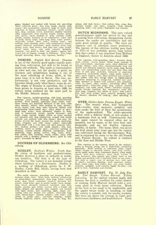 DOMINE                                                                                                                       EARLY HARVEST                                            27

green,           blushed and washed with bronze red, prevailing                                                                              obtuse, dull dark brown ; flesh yellow, firm, crisp, fine-
                                                                                                                                                                                                  fint
effect          yellowish green  skin thin, tough, smooth, dull,
                                                 ;                                                                                           grained, tender, very juicy, aromatic, brisk subacid
waxen dots pronounced, numerous, large to small, more
                ;                                                                                                                            becoming mild very good September and October.
                                                                                                                                                                          ;            ;


numerous at basin, submerged, areolar   cavity acumi-                                        ;

                        medium
nate,       deep,
often compressed
                                             wid^h,
                     stem medium length, slender, pubes-
                                 ;
                                                                 sometimes slightly russeted,
                                                                                                                                                DUTCH MIGNONNE.             This once valued
cent, green     basin medium to deep, medium width,
                        ;                                                                                                                    general-purpose apple has served its day and
abrupt, smooth, tendency to be compressed       calyx open                                                   ;                               is passing from cultivation, disappearing chiefly
to partly closed, large  lobes long, leafy, acute, narrow
                                                 ;                                                                                       ;
                                                                                                                                             because the apples are unattractive and not
calyx-tube conical, short, wide      stamens basal     core                  ;                                                ;



medium, lines clasping, axile ; cells symmetrical, closed ;                                                                                  quite good enough in quality. The trees are
carpels elliptical, mucronate   seeds medium sized, long,        ;
                                                                                                                                             vigorous and in alternate years productive.
plump, acute, dark brown flesh firm, fine, crisp, tender,    ;
                                                                                                                                             The history of this old-time worthy goes back
cream white, juicy, very mild, subacid, sprightly,
aromatic, very good to best ; use dessert      season, har-                                              ;
                                                                                                                                             to 1771 it was probably grown long before
vested last of August, storage to February.     Tree large,                                                                                  that date when it was imported from Holland
upright spreading, dense, very vigorous, healthy."                                                                                           to England; thence to America about 1800.

     DOMINE.    English Red Streak. Domine                                                                                                      Tree vigorous, wide-spreading, dense    branches short,        ;


isone of the choicely good apples rapidly pass-                                                                                              stout,  curved.   Leaves broad.  Fruit large, uniform in
                                                                                                                                             size, round-oblate, sometimes conic, often elliptical and
ing from cultivation, but still to be found in                                                                                               broadly ribbed     stem often characteristically long and
                                                                                                                                                                          ;



many   old orchards. The apple is commonplace                                                                                                slender and obliquely inserted ; cavity acute, deep, broad,
in color and size, but the quality is good, its                                                                                              often with outspreading russet rays and faint lines and
                                                                                                                                             flecks of dull gray scarf-skin, furrowed or sometimes
juiciness and sprightliness making it one of                                                                                                 compressed, occasionally lipped ; calyx small, closed or
the most refreshing of fruits, while, at the                                                                                                 open basin shallow, wide, often furrowed and wrinkled
                                                                                                                                                    ;
                                                                                                                                                                                                                                        ;


same time, it is rich in flavor. The tree, un-                                                                                               skin yellow with thin orange blush, in highly-colored
                                                                                                                                             specimens deepening to orange-red, mottled and spar-
fortunately,is not very productive, and    its
                                                                                                                                             ingly splashed or striped with carmine ; dots numerous,
branches break easily when heavy crops do set.                                                                                               white or russet, often areolar       prevailing effect dull
                                                                                                                                                                                                   ;


The origin of Domine is uncertain, but it has                                                                                                orange-yellow    calyx-tube large, long, conical
                                                                                                                                                                     ;                            stamens                      ;



been grown                  in       America
                       at least since 1820, its                                                                                              marginal core axile, small, closed
                                                                                                                                                            ;                        core-lines clasping ; ;


                                                                                                                                             carpels broadly roundish, flat, emarginate        seeds few,              ;

culture being confined for the most part to                                                                                                  often long, irregular, flat, obtuse or acute ; flesh yellow,
the Middle Atlantic states.                                                                                                                  firm, fine, crisp, tender, juicy, subacid, sprightly, good
                                                                                                                                             for dessert ; excellent for cooking ; often extending to
    Tree vigorous, upright-spreading, with long, spreading                                                                                   May.
branches.      Leaves long, drooping and characteristically
twisted.     Fruit medium, sometimes large, oblate, some-
times oblong and distinctly flattened at the base, sides
                                                                                                                                                DYER.                Golden Spice.         Pomme Royale.                           White
often unequal, ribbed       stem medium to long, slender
                                             ;                                                                                           ;
                                                                                                                                             Spice.             The creamy
                                                                                                                                                                     white, half transparent
cavity obtuse, wide, deep, often furrowed, usually with                                                                                      flesh  tender, crisp, aromatic, sprightly, and
 outspreading    brown-russet rays    calyx closed or open ;             ;                                                                   rich  make the fruit of Dyer the quintessence
 lobes long, acute      basin pubescent, shallow to deep,
                                     ;

wide or compressed, abrupt, usually furrowed              skin                                                               ;
                                                                                                                                             of the apple-orchard.       The color greenish
thick, tough, smooth, bright, yellow or green mottled                                                                                        yellow with a delicate blush of red makes it
and splashed with deep pinkish-red, striped with bright                                                                                      a handsome fruit as well. Unfortunately this
carmine and overlaid with thin bloom           dots pale, nu-
merous toward the basin, toward the cavity scattering,
                                                                                         ;
                                                                                                                                             fine apple cannot be enjoyed often nor in
large,    irregular and with     russet   center ; calyx-tube                                                                                quantity, nor by many, as the trees bear only
funnel-shape with a wide limb and short truncate cylin-                                                                                      biennially, and are not fruitful, vigorous,
der ; stamens median        core small, abaxile ; cells sym-
                                                                                                                                             healthy, or hardy. The name, Dyer, was given
                                             ;


metrical, closed or partly open        core-lines meeting or                 ;


clasping      carpels broadly elliptical, emarginate
                    ;                                    seeds                                                           ;
                                                                                                                                             the fruit about sixty years ago, but the variety
numerous, large, plump, narrow, long, acute, dark ;                                                                                          was cultivated during the Revolutionary War,
jftesh yellow, firm, breaking, coarse, tender, juicy, mild
subacid with a peculiar aromatic flavor
                                                                                                                                             and is supposed by some to be the old French
                                                good to very
                                                                                                                                             sort, Pomme Royale.
                                                                                                 ;


good    ;November to March.                                                                                                                                           Its culture is confined
                                                                                                                                             to the East and Middle West.
     DUCHESS OF OLDENBURG:                                                                                       See Old-                       Tree vigorous in the nursery, dwarf in the orchard                                      ;

enburg.                                                                                                                                      comes   in bearing young, but is short-lived        productive                ;


                                                                                                                                             biennially.    Fruit medium or sometimes large, round-
     DUDLEY.                             Dudley's Winter.                                                North                       Star.   oblate, regular or obscurely ribbed       stem long, slender
                                                                                                                                             cavity small, acute, deep, sometimes lipped
                                                                                                                                                                                                       ;                                ;



     virtue of hardiness and productiveness,                                                                                                                                                   calyx small,
By                                                                                                                                           closed    lobes Ion.?, recurved
                                                                                                                                                        ;                        basin small, s.iailow to
                                                                                                                                                                                           ;
                                                                                                                                                                                                                   ;




Dudley deserves a place in orchards in north-                                                                                                deep, furrowed      skin smooth, pale yellow, more or less
                                                                                                                                                                         ;


ern localities.  The fruit is of the type of                                                                                                 flecked and marbled with a brow7iish blush on one cheek                                    ;

                                                                                                                                             dots dark or russet        core of medium size      cells open
Oldenburg. The variety is not desirable except
                                                                                                                                                                                   ;                                   ;

                                                                                                                                             or closed     core-lines clasping
                                                                                                                                                            ;                     seeds numerous, plump,
                                                                                                                                                                                               ;

where hardiness is a determinant. Dudley is                                                                                                  short, small, pale     flesh yellow, fine, very crisp, tender,
                                                                                                                                                                               ;


a seedling of Oldenburg, grown by J. W.                                                                                                      aromatic, sprightly, mild subacid, highly flavored        very                        ;

                                                                                                                                             good to best                September and October.
Dudley, Castle Hill, Maine, having been first                                                                                                                    ;




described in 1891.
                                                                                                                                                EARLY HARVEST.             Fig. 17. July Pip-
   Tree small, vigorous, spreading and drooping, dense;                                                                                      pin.   Tart Bough.     Yellow Harvest.     Yellow
branches short, stout.    Fruit large, uniform, round-conic
or round-oblate, symmetrical       stem long, thick                                                                                          Juneating. As the earliest summer apple, and
                                                        cavity       ;                                               ;


acute, deep, broad, sometimes russeted, obscurely fur-
                                                                                                                                             because the fruit is excellent for either dessert
rowed calyx large, open or partly closed basin abrupt,
            ;                                                                                        ;                                       or cooking, Early Harvest should hold a wel-
deep, broad, obscurely furrowed, wrinkled          skin thin,                                                ;
                                                                                                                                             come place in every home collection. Much
tender, smooth, pale yellow covered with a bright red
blush, striped   and splashed with carmine and covered                                                                                       of the fruit is too small to be marketable, and
with light bloom       dots" scattering, light, small
                                     ;                    pre-                                                                   ;
                                                                                                                                             the apples bruise badly in handling, so that
vailing color red striped over yellow        calyx-tube long                         ;
                                                                                                                                             the variety is suitable only for nearby markets.
wide, funnel-shape      stamens median     core axile     cells
closed or    partly open      core-lines
                                         ;


                                          clasping   ; carpels
                                                                                 ;

                                                                                                                 ;
                                                                                                                             ;
                                                                                                                                             The trees are above the average in vigor, pro-
broadly elliptical, tufted    seeds large, wide, long, flat,
                                                         ;                                                                                   ductiveness, hardiness, and healthfulness. Early
 