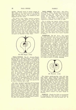 80                               FALL PIPPIN                                                                                                      FAMILY
 market.   Several rivals in season surpass it.                                                                     FALL WINE. Musk                              Spice.  Ohio Wine.
 The  origin of the variety is given as Holden,                                                                 Sweet Wine.           Wine.                 At one time noted for its
 Massachusetts, and the date as previous to                                                                     excellent fruits, Fall Wine has practically
 1848. Its culture seems to be confined to New                                                                  passed into oblivion.   Except for the high
 England and                 New        York.                                                                   quality of its product, the variety is but
                                                                                                                mediocre.    Fall Wine is reported to have
   Tree vigorous, hardy, healthy, long-lived, productive
 biennially. Fruit large, uniform in size but not in                                                            originated in Albany, New York, in 1832.
shape,   round-conic,   irregular    stem short, slender   ;                                               ;


cavity acute, deep, regular or compressed, often russeted                                                         Tree of medium size, vigorous, healthy, long-lived,
and with outspreading russet rays calyx large, open or         ;                                               productive biennially.  Fruit large, round-oblate, ribbed,
closed   basin uneven, one side projecting higher than
            ;
                                                                                                               sides often unequal ; stem long      cavity obtuse, wide,      ;


the other, deep, wide, abrupt, furrowed ; skin pale                                                            deep, sometimes lipped     calyx small, closed or partly
                                                                                                                                                    ;



yellow sometimes with brownish blush ; dots numerous,                                                          open ; lobes long, narrow, reflexed     basin deep, wide,          ;



large and small, russet or red, areolar     calyx-tube large,                   ;                              abrupt, furrowed    skin yellow washed with red which
                                                                                                                                      ;



long, conical with fleshy point projecting into the base,                                                      on the exposed cheek deepens to a bright blush, indis-
the lower part of the funnel cylinder sometimes en-                                                            tinctly striped with carmine     dots yellowish-brown or
                                                                                                                                                                  ;


larged   stamens median
            ;                core small, axile ; cells sym-
                                         ;
                                                                                                               russet ; calyx-tube long, narrow, funnel-form     stamens                      ;


metrical    core-lines meeting when the tube is short,
                ;
                                                                                                               median    core medium, axile ; cells symmetrical, closed
                                                                                                                          ;



clasping when it is long      carpels elliptical to cordate
                                             ;                                                             ;
                                                                                                               or open ; core-lines clasping   carpels broadly roundish,
                                                                                                                                                              ;


seeds not numerous, dark brown, plump, obtuse ; flesh                                                          tufted ;
                                                                                                                        seeds wide, acute ; flesh yellow, tender, juicy,
white, fine, crisp, tender, juicy, subacid, aromatic                                                       ;
                                                                                                               aromatic, very mild subacid     fair to good ; September
                                                                                                                                                              ;


very good    late September to early winter.
                    ;
                                                                                                               to January.

                                                                                                                    FAMEUSE.      Fig. 20.   Snow. Few apples
                                                                                                               are more beautiful and more refreshing than
                                                                                                               those of Fameuse. If the tender skin of light
                                                                                                               and shaded red be cut through, flesh of snowy
                                                                                                               whiteness rimmed and stained with crimson is
                                                                                                               exposed, beautiful to sight and delectable to
                                                                                                               smell and taste.      Fameuse, commonly and
                                                                                                               aptly called Snow, belongs to Canada and the
                                                                                                               high altitudes and northern latitudes of the
                                                                                                               United States, where, alone, the apples reach
                                                                                                               perfection, and the trees attain vigor, health,
                                                                                                               and longevity. The variety has several serious
                                                                                                               faults; thus, the apples are small and keep only
                                                                                                               until Christmas fruit and tree are inviting prey
                                                                                                                                          ;


                                                                                                               to apple-scab and the trees are very fastidious
                                                                                                                                  ;


                        19.   Fall Pippin.                     (X%)                                            as to soils. Fameuse is of Canadian origin, with
                                                                                                               a history of at least 200 years. It is the parent
     FALL PIPPIN.                                Fig. 19.                      Autumn            Pippin.       of a score or more of worthy offspring.
Pound Pippin. Summer Pippin. York Pippin.
Though one of the oldest American apples, it
is   doubtful whether Fall Pippin                                               is          properly ap-
preciated.              The name                     is   inapt, as in the                        North
the fruit keeps well into mid-winter, and is of
first rate quality to the very last.  The color
is a beautiful golden yellow, and the flesh is
tender, rich, crisp, aromatic, and of delectable
quality either for dessert or for culinary uses.
The trees are hardy, healthy, long-lived, and
very large; few trees carry a more majestic
port at maturity.      Unfortunately, tree and
fruit are most inviting prey to the apple-scab                                                                                    20.             Fameuse.
fungus; this accounts for the neglect into
which the variety fell a generation ago, but,                                                                     Tree vigorous, upright-spreading, dense, with long,
with means of controlling the scab, its culture                                                                stout branches.     Fruit medium size, round-conic, some-
                                                                                                               times                                                     stem
should be renewed. The habitat of the variety                                                                          oblate,   regular,   uniform,     symmetrical ;
                                                                                                               medium to short, sometimes long, slender cavity acute,
is New England, where it has been grown for
                                                                                                                                                                                      ;


                                                                                                               deep, wide, often gently furrowed, sometimes russeted
at least a century and a half.                                                                                 but generally smooth and red or green            calyx small,          ;

                                                                                                               closed ; basin medium in width ajid depth, abrupt,
     Tree large, very vigorous, spreading, with long branches                                                  obscurely furrowed or wrinkled, often having mammi-
which become drooping.    Fruit large or very large,                                                           form protuberances       skin thin, tender, smooth, bright
                                                                                                                                              ;

uniform in size and shape, round to round-oblate, in-                                                          red deepening to dark red in highly-colored specimens,
clined to conic, sometimes oblong and truncate, often                                                          striped toward the apex ; dots few, scattering, light ;
obscurely ribbed  stem long, thick
                         ;                                         ;           cavity acute, wide,             calyx-tube narrow, funnel-form        stamens median ; core
                                                                                                                                                                      ;


symmetrical or compressed, russettd                                    ;       calyx large, open       ;       small, axile   ;
                                                                                                                               cells closed    core-lines clasping
                                                                                                                                                        ;              carpels                ;

lobes  separated         atbase, long, narrow, acuminate
                                  the                                                                  ;       symmetrical,  round or elliptical, emarginate, mucronate ;
basin wide, abrupt, wavy, wrinkled       skin thin, smooth,            ;                                       seeds dark, long, narrow, acute         flesh white, streaked
                                                                                                                                                                          ;

clear yellow, sometimes faintly blushed      dots numerous,                         ;                          or stained with red, very tender, juicy, subacid becom-
small, pale and submerged or russet ; calyx-tube large,                                                        ing mild subacid, aromatic ; very good             October to              ;

wide, long,   conical  stamens median core medium size,
                              ;                                            ;                                   midwinter.
abaxile ; cells symmetrical, closed or partly open ; core-
lines meeting or clasping
tufted  ;
                                carpels round, emarginate,
          seeds dark brown, acute, plump
                                                 ;

                                                flesh yellow,                           ;
                                                                                                                    FAMILY.   Family has little to recommend
firm, fine, tender, very juicy, agreeably subacid, aromatic ;
                                                                                                               it excepting its long period of ripening a
very good ; late September to January.                                                                         valuable attribute in a fruit for home use. It
 