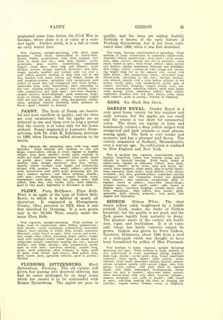 FANNY                                                                                                     GIDEON                                                              31


originated some time before the Civil War in                                                     quality,                and the                            trees are seldom fruitful.
Georgia, where alone it is of value as a sum-                                                    Nothing                  is               known              of the early history of
mer apple. Farther north, it is a fall or even                                                   Flushing Spitzenburg, but it has been culti-
an early winter fruit.                                                                           vated since 1800, when it was first described.
                                                                                                    Tree large, vigorous, round-headed or spreading. Fruit
                                                                                                 medium    to large, round-conic or sometimes oblate-conic,
                                                                                                 obscurely ribbed, symmetrical     stem short cavity acumi-             ;                                   ;


                                                                                                 nate, deep, narrow, smooth ana red or greenish         calyx                                                               ;


                                                                                                 small, closed or open    lobes broad, obtuse   basin narrow
                                                                                                                                                        ;                                                       ;

                                                                                                 and shallow, obtuse, sometimes furrowed and wrinkled;
                                                                                                 skin tough, yellow, overspread with orange-red, becom-
                                                                                                 ing bright deep red on the exposed side, coated with
                                                                                                 light bloom     dots conspicuous, white
                                                                                                                          ;                  calyx-tube long,                                       ;


                                                                                                 funnel-form, extending to the core        stamens median                               ;                                        ;

                                                                                                 core distant, abaxile with a wide hollow cylinder at the
                                                                                                 center, nearly axile    cells symmetrical, partly open or
                                                                                                                                                    ;

                                                                                                 closed   core-lines clasping
                                                                                                           ;                     carpels round, wide, mu-       ;


                                                                                                 cronate, emarginate, somewhat tufted      seeds dark, large,                               ;


                                                                                                 wide, plump, acute, sometimes tufted           flesh yellow,                                           ;

                                                                                                 sometimes streaked with red, firm, coarse, crisp, juicy,
                                                                                                 mild subacid good in quality October to February.
                                                                                                                              ;                                             ;




                                                                                                    CANS.                                 See Black Ben Davis.

   FANNY.                          Theare beauti-
                                                                                                    GARDEN ROYAL.           Garden Royal is a
                                                  fruits of        Fanny                         very good                        home
                                                                                                                   variety for late summer and
ful   and most excellent                    trees     in quality,              and the
                                                                                                 early autumn, but the apples are too small
are very satisfactory; but the apples are so                                                     and the season is too short for commercial
deficient in size and ripen over so long a period                                                value.   The fruits are regular in form and
that the variety is of value only for the home
                                                                                                 handsomely colored a deep yellow striped with
orchard. Fanny originated at Lancaster, Penn-
                                                                                                 orange-red and dark crimson a most prepos-
sylvania, with Dr. John K. Eshelman, previous                                                    sessing apple.  The flesh is very tender and
to 1869, when Downing called attention to its                                                    aromatic and has a pleasant acid flavor. The
merits.
                                                                                                 variety originated at Sudbury, Massachusetts,
   Tree vigorous, flat, spreading, open, with long, stout                                        over a century ago. Its cultivation is confined
branches.    Fruit medium size, uniform in size and                                              to New England and New York.
shape, round-oblate, oblong or ovate, regular or slightly
ribbed    stem short, slender ; cavity acute, medium in
              ;                                                                                    Tree of               mediumvigorous, round-headed, hardy,
                                                                                                                                                    size,
width and depth, sometimes russeted calyx small, closed                ;                         healthy,              long-lived,                      comes
                                                                                                                                  into bearing young and is
or partly open        lobes short,; narrow, acute ; basin                                        reliable              in biennial
                                                                                                                          bearing.     Fruit small, round ot
shallow, wide, abrupt, furrowed         skin thin, tender,         ;                             oblate-conic, regular or obscurely ribbed            stem short                                                ;

smooth, yellow overlaid with bright red indistinctly                                             straight, slender     cavity acute, deep and broad, fur
                                                                                                                                            ;


striped with carmine       dots small, yellow ;  calyx-tube                        ;             rowed, often russeted calyx small, open or partly closed
                                                                                                                                                        ;


wide, funnel-form with pistil point projecting into the                                          lobes separated, short, acute     basin shallow, wide, obtuse   ;

base  ;stamens median ; core below medium, abaxile ;                                             wrinkled; skin thin, greenish-yellow, sometimes entirel;'
cells open    core-lines clasping
                          ;         carpels broadly ovate,     ;                                 overspread   with red, irregularly striped and splasheJ
emarginate ; seeds large, wide, flat, plump, acute flesh                                 ;       with carmine       dots numerous, conspicuous, often ir
                                                                                                                                      ;



yellow, firm, fine, very tender, juicy, mild subacid ;                                           regular,   russet   or yellow ;     calyx-tube    funnel-shape
good to very good September to November or later.
                                      ;                                                          stamens median        core small, axile   ;    cells   closed or                               ;


                                                                                                 slightly open     core-lines clasping
                                                                                                                                  ;        carpels small, ellip-                    ;


   FLORY.     Flory Bellflower.         Belle.                                 Flora             tical,  emarginate      flesh   yellow, fine,  ; tender,   juicy,
                                                                                                 agreeable, mild subacid, aromatic ;          very good ; late
Flory is an apple of the type of Yellow Bell-                                                    August and September.
flower, to which it is inferior in nearly all
characters.  It  originated in   Montgomery                                                        GIDEON.                                          Gideon          White.  The clear
County, Ohio, previous to 1872, when it was                                                      waxen yellow                                    color,         heightened by a bright
first described by Downing. It is now grown                                                      pinkish blush, makes the fruits of Gideon
only in the Middle West, usually under the                                                       beautiful; but the quality is not good, and the
name              Flora Belle.                                                                   flesh passes rapidly from maturity to decay.
                                                                                                 The greatest assets of the variety are hardi-
  Tree  vigorous, upright-spreading.    Fruit medium to
       ovate to round-conic, often ribbed, symmetrical                                           ness, vigor, and fruitfulness.   It is of value
large,                                                                                       ;


stem slender   cavity acuminate, symmetrical, sometimes
                              ;                                                                  only where less hardy varieties cannot be
lipped   basin medium in width, deep, abrupt, somewhat
              ;
                                                                                                 grown.                 Gideon was grown by Peter Gideon,
furrowed calyx closed or open lobes narrow and acute ;
                                                                                                 Excelsior, Minnesota, about 1880 from a seed
                      ;                                    ;

skin tough, clear yellow, becoming deeper yellow, rough-
ened with capillary-netted russet lines and russet dots ;                                        of a crab-apple which was thought to have
calyx-tube conical, sometimes meeting the core ; stamens                                         been fecundated by pollen of Blue Pearmain.
median    core large, abaxile
                  ;             cells symmetrical, partly
                                                       ;


open to wide open      core-lines meeting ;  carpels long,                     ;                    Tree medium to large, vigorous, upright becoming
ovate   seeds numerous, often irregular in form, small
          ;                                                                                      spreading and open.      Fruit medium to large, uniform in
to large, wide, obtuse, dark brown     flesh yellow, firm,             ;                         size, round-conic or ovate, sometimes oblong, angular ;
hard, coarse, juicy, agreeably subacid   good in quality                   ;                 ;   stem long, slender cavity acute, deep, broad, sometimes
                                                                                                                                                ;

October.                                                                                         russeted     calyx small, closed
                                                                                                                   ;                   lobes narrow,    acute,                  ;

                                                                                                 reflexed   basin small, sometimes oblique, shallow, narrow,
                                                                                                               ;



   FLUSHING                                   SPITZENBURG.                               Black   obtuse, wrinkled, usually with narrow ridges
                                                                                                           waxen yellow, with pink blush on exposed
                                                                                                                                                    skin thin,                                                          ;


                                                                                                 glossy,
Spitzenburg. Flushing. This old variety, still                                                   cheek ;   dots light,     submerged, inconspicuous, except
grown but passing into deserved oblivion, has                                                    where the skin is blushed         calyx-tube short, narrow,        ;


had its career prolonged by an inapt name                                                        often funnel-shape with very short, truncate cylinder ;
                                                                                                 stamens marginal        core axile or abaxile    cells closed
which has caused it to be confounded with                                                        or open
                                                                                                                                                ;

                                                                                                              core-lines meeting the limb or clasping the
                                                                                                                   ;
                                                                                                                                                                                                                    ;




Esopus Spitzenburg. The apples are poor in                                                       cylinder ; carpels round, broadly ovate, or elliptical.
 