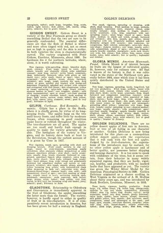 32                                     GIDEON SWEET                                                                                   GOLDEN DELICIOUS
emarginate,                      tufted    ;
                                                   seeds large, irregular, long,                            acute,      Tree small, vigorous, spreading or drooping, with
tufted, light                     brown            ; flesh yellow,  soft, coarse,                           crisp,   short, stout branches.   Fruit medium to large, uniform,
juicy, subacid                    ;   fair to         good ; October.                                                round-oblate, sometimes conic, obscurely ribbed, sides
                                                                                                                     usually unequal      stem medium in length, slender ;
                                                                                                                                           ;


     GIDEON SWEET.        Gideon Sweet is a                                                                          cavity acuminate,     wide,    deep,  sometimes with out-
                                                                                                                     spreading russet ; calyx large, closed or open ; basin
variety of the Blue Pearmain group so closely                                                                        small, medium in depth and width, abrupt, furrowed
resembling Bethel that the two are sure to be                                                                        and wrinkled ; skin thin, smooth, pale yellow, thinly
generally confounded.    The essential differ-                                                                       overspread with red, irregularly mottled, splashed and
                                                                                                                     distinctly striped with carmine         dots numerous, in-
ences are that the flesh of Bethel is whiter                                                                                                                                       ;


                                                                                                                     conspicuous, light colored, submerged       calyx-tube short           ;

and more often tinged with red, not so sweet                                                                         cone-shape   ;
                                                                                                                                   stamens median ; core large, usually axile
nor so high in quality, and the skin is redder.                                                                      cells symmetrical, closed or open ; core-lines clasping
                                                                                                                     carpels broadly roundish, emarginate       seeds dark brown
In both varieties the stem is characteristically                                                                                                                                        ;


                                                                                                                     very wide, flat, obtuse    flesh yellow, firm, coarse, crisp
                                                                                                                                                         ;

curved.  The variety originated with Peter                                                                           tender, juicy, mild subacid ; fair in quality      September                            ;




Gideon, Excelsior, Minnesota, about 1880. Its                                                                        and October.
hardiness fits it for northern latitudes, where,
alone, it is worth cultivating.
                                                                                                                        GLORIA MUNDI.                                            American Mammoth.
                                                                                                                     Pound.     Gloria Mundi is of interest because
  Tree vigorous, wide-spreading, dense    branches short,                               ;
                                                                                                                     its fruits are the largest of cultivated apples,
stout,  crooked.    Fruit large, round to conic, often
                                                                                                                     fit, however, only for culinary uses.   All that
oblate, broadly   and obscurely ribbed, sides sometimes
                                                                                                                     is known of its history is that it was culti-
unequal   stem long, curved
                 ;              cavity broad, acuminate,            ;


deep, indistinctly furrowed, often with green or red-                                                                vated in the states of the Northeast very gen-
russet rays    calyx small, closed or open
                             ;
                                               lobes long,                                          ;
                                                                                                                     erally before 1804, since which time it has been
acuminate     basin shallow, broad,    obtuse,   furrowed,
                                                                                                                     widely distributed in the United States and
                         ;


wrinkled    skin tough, rough towards the apex, deep
                     ;


yellow or green mottled and blushed with orange-red                                                                  Canada.
sometimes irregularly splashed and striped with carmine
and overspread with thin bloom dots conspicuous, yellow                     ;
                                                                                                                        Tree large, vigorous, spreading, hardy, long-lived, but
or russet,  scattering ; calyx-tube large, broad, conical ;                                                          not very productive.     Fruit large, uniform, round with
stamens median to basal       core irregular, abaxile   cells
                                                            ;                                           ;
                                                                                                                     truncate ends, conical, ribbed, sides usually unequal                                                         ;


often unsymmetrical, open or closed       core-lines meeting                    ;
                                                                                                                     stem short, thick cavity large, acuminate, deep, broad,
                                                                                                                                               ;


or clasping    carpels roundish, tufted ; seeds medium to
                             ;
                                                                                                                     furrowed and compressed, sometimes russeted            calyx                                       ;



large, light brown, narrow, acute, tufted ; flesh yellow,                                                            large, open or partly closed      lobes separated at base,
                                                                                                                                                                         ;



firm, crisp, coarse, juicy, aromatic, sweet ; good to very                                                           short, narrow    ;basin large, deep, wide, abrupt, some-
good ; November to April.                                                                                            times with faint bronze blush      dots small, often areolar
                                                                                                                                                                             ;

                                                                                                                     with russet center, or light colored and submerged                                                            ;


     GILPIN.   Carthouse. Red Romanite. Ro-                                                                          prevailing effect yellow     calyx-tube very large, long,
                                                                                                                                                             ;

                                                                                                                     wide, broadly conical extending to core stamens median                     ;                                  ;
manite.    Gilpin has a place in the South,                                                                          core large, usually abaxile      cells symmetrical, open ;
                                                                                                                                                                     ;


where it is chiefly grown, by virtue of its long-                                                                    core-lines usually clasping    carpels broadly roundish to
                                                                                                                                                                 ;

                                                                                                                                 tufted    seeds dark brown, small, narrow,
keeping fruits. The apples hang on the tree                                                                          elliptical,               ;

                                                                                                                     short, plump, obtuse, sometimes tufted                                                 flesh           yellow,
until        heavy                frosts,              and      suffer little                   by moderate          coarse, crisp, tender, juicy, mild subacid
                                                                                                                                                                                                    ;


                                                                                                                                                                                                        ;
                                                                                                                                                                                                            fair or             good
freezes, often remaining in good condition                                                                           in quality ; October to January.
under leaves or rubbish throughout the winter.
The tree-characters are all good. The apples                                                                            GOLDEN DELICIOUS.                                                 There are no
are too small and hardly high enough in                                                                              yellow dessert apples of                                first      rate in America,
                                                                                                                     fruit or tree of all failing                                      in one character
quality to make the variety generally desir-
able.  The birthplace of the variety is Vir-                                                                         or another.   Golden Delicious is now being
                                                                                                                     introduced for this place as a cosmopolitan
ginia, and its history dates back at least to
the Revolution, though the earliest account of                                                                       yellow dessert apple with the expectation
                                                                                                                     that it will rank with the best red apples.
it   is      given by Coxe in 1817.
                                                                                                                     Judged by            its          fruit-characters,                            the          expecta-
  Tree vigorous, round, open, spreading with short and                                                               tions of the introducers may be realized, for
drooping laterals.      Fruit small, uniform in size and
          round     to                       sometimes
                                                                                                                     no other yellow apple is handsomer and of
shape,                   ovate-truncate,                  nearly
cylindrical,   often obscurely ribbed, symmetrical or sides                                                          better quality, nor possesses better shipping
unequal, sometimes oblique         stem short     cavity acumi- ;                           ;                        and keeping characters. It is too soon to speak
nate, usually deep, broad, obscurely furrowed or com-                                                                with confidence of the trees, but it seems cer-
pressed, sometimes lipped, often russeted           calyx large,                                ;

open, rarely closed       lobes leafy, reflexed, long, acumi-
                                               ;
                                                                                                                     tain, from their behavior in many widely
nate basin oblique, deep, wide, abrupt and prominently
         ;                                                                                                           separated regions, that they are hardy, vigor-
furrowed but sometimes shallow and narrow or com-
                                                                                                                     ous, healthy, and productive, with no marked
pressed, wrinkled      skin tough, smooth, glossy, greenish-
                                                                                                                     faults that have appeared as yet. The variety
                                       ;

yellow becoming deep yellow, with brownish-red cheek
often deepening to dark red            calyx-tube wide, short,          ;                                            was given the Wilder Silver Medal by the
truncate-funnel-shape       stamens basal     core axile
                                                   ;
                                                            cells                   ;                   ;
                                                                                                                     American Pomological Society in 1920. Golden
symmetrical,    closed or open     core-lines meeting or clasp-
                                                                                                                     Delicious originated as a chance seedling in
                                                                ;


ing  ; carpels round to ovate, narrowing towards apex,
mucronate, emarginate          seeds numerous, dark brown,
                                                        ;
                                                                                                                     West Virginia  in the orchard of A. H. Mullins
large, plump, acute, tufted           flesh yellow,   very firm,    ;
                                                                                                                     about thirty years ago, and was introduced by
coarse,  at first hard but becoming crisp and tender, juicy,
subacid    good February to June.
             ;                    ;
                                                                                                                     Stark Brothers, Louisiana, Missouri, in 1916.
                                                                                                                        Trees hardy, vigorous, healthy, productive.          Fruit
     GLADSTONE.      Relationship to Oldenburg                                                                       large,  1^4 inches broad, 1% inches long, oblong-conic,
and Gravenstein       immediately apparent in          is                                                            uniform    in size and     shape,   symmetrical, distinctly
the fruit of Gladstone, the apples resembling                                                                        ribbed   ;stem 1     %
                                                                                                                                          inches long, slender, curved      cavity                                  ;


                                                                                                                     acuminate, broad, very deep, smooth, gently furrowed ;
the latter more than the former. The variety,                                                                        calyx large, closed     basin narrow, abrupt, furrowed ;
                                                                                                                                                   ;


however, is hardly equal to either in quality                                                                        skin golden yellow, thin, smooth ; dots numerous, small,
of fruit or in tree-characters.  It is of com-                                                                       conspicuous, russet and submerged at the apex            core                                          ;


                                                                                                                     large, open, abaxile ; core-lines distinct, clasping ; calyx-
paratively recent introduction in America, but                                                                       tube long, wide, funnel-shaped          carpels  round-oval,  ;

has been grown for half a century in England.                                                                        tufted   ;seeds large, plump, acute ; flesh firm, crisp.
 