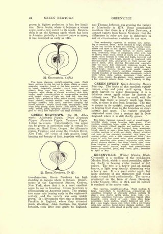 34                      GREEN NEWTOWN                                                                               GREENVILLE

grown        in highest perfection in but few locali-                   and Thomas Jefferson was growing the variety
ties.        Nova  Scotia, where it becomes a winter                     at  Monticello in 1778.    Some pomologists
apple, seems best suited to its needs. Graven-                          maintain that there is a Yellow Newtown, a
stein is an old German apple which has been                             distinct variety from Green Newtown; but the
in America probably a hundred years or more;                            differences in color are due to differences in
it was described as early as 1824.                                      soil or climate two varieties do not exist.
                                                                           Tree moderately vigorous, of medium size, spread-
                                                                        ing or roundish, dense. Fruit medium to large, uniform
                                                                        in size but variable in form and coloring,
                                                                                                                   usually round-
                                                                        oblate and more or less angular, with an oblique axis,
                                                                        sometimes                 elliptical             ;   stem         medium                      or       short     ;           cavity
                                                                        deep, acuminate, broad or compressed, often with rays
                                                                        of russet ; calyx small, closed or nearly so ; lobes small,
                                                                        acute   basin medium in width and depth, furrowed and
                                                                                      ;

                                                                        often wrinkled    skin tough, smooth or roughened with
                                                                                                        ;


                                                                        brownish-russet  dots, grass-green at fruit harvest but
                                                                        yellow later, often showing brownish-pink especially
                                                                        near the base     dots submerged, numerous toward the
                                                                                                       ;


                                                                        eye, white scarf-skin over the base        calyx-tube long,                               ;


                                                                        funnel-shape   stamens median
                                                                                                  ;          core small, abaxile                  ;                                                          ;

                                                                        cells symmetrical,   closed   core-lines clasping    carpels
                                                                                                                                 ;                                                   ;

                                                                        broadly roundish or round-obcordate, emarginate, tufted                                                                              ;
                                                                        seeds tufted, dark, narrow, acuminate          flesh yellow,                                       ;

                                                                        firm, crisp, tender, fine-grained, juicy, sprightly, with
                    22. Gravenstein.
                                                                        a fine aromatic subacid flavor    best   February to May.         ;                   ;


   Tree large, vigorous, upright-spreading, open.        Fruit
large, uniform in size but not in shape, oblate or round,                     GREEN SWEET.                                               Green Sweeting. Honey
somewhat irregular,     broad at the base, angular, narrow
                                                                        Sweeting.                     The               fruits of this excellent variety
to broad, irregularly russeted        calyx large, open or              remain    crisp and juicy until spring: from
                                      ;

closed   ;lobes large, long, very broad, acute           basin
                                                            ;


irregular, wide, obtuse to abrupt, wrinkled         skin thin,
                                                      ;                 apple   harvest to apple blossoming, it is a
tender, rough, greenish-yellow or orange-yellow overlaid                delicious sweet apple either for dessert or
with broken stripes of light and dark red            dots few,
                                                                        culinary uses. The fruits run small, with the
                                                       ;


small, light   ;prevailing effect yellow striped    calyx-tube
                                                       ;


large,  conical    stamens median
                    ;                  core medium in size,
                                          ;
                                                                        result that there is usually much loss from
strongly abaxile      cells open
                            ;     ;
                                    core-lines clasping the             culls, as there is also from dropping. The tree
funnel cylinder     carpels broad-ovate, emarginate       seeds
                        ;                                       ;
                                                                        is unique in its upright, compact growth, and
large, long, plump, acute, brown      flesh yellow, firm, fine,
                                          ;



crisp, tender, juicy, sprightly subacid, aromatic
                                                                        in bearing fruit close to the branches on short
                                                           very     ;

good to best ; late September till early November.                      laterals and spurs.      The variety probably
                                                                        originated more than a century ago in New
   GREEN NEWTOWN.                              Fig.   23.       Albe-
                                                                        England, where it is still chiefly grown.
marle.        Albemarle Pippin.               Green Newtown
               Mountain Pippin.               Newtown                      Tree large, vigorous, compact, erect or round-topped
Pippin.                                                     Pippin.                                                                                                                                          ;

                                                                        branches stout, young branches dark green.             Fruit
Yellow Newtown.      Unfortunately, this apple                          medium, sometimes large, ovate to round-conic, some-
can be grown in perfection only in certain re-                          times obscurely ribbed, regular and uniform in size                                                                                  ;

                                                                        stem long, slender
gions, as: Hood River, Oregon; the Albemarle                                                   cavity furrowed, deep, acuminate,
                                                                                                                    ;


                                                                        broad, smooth or open      lobes leafy, long, acute    basin
region, Virginia; and along the Hudson River,
                                                                                                                             ;                                                               ;

                                                                        variable, medium in width and depth, abrupt, wrinkled
New York. By virtue of high quality, long-                              and more or less obscurely furrowed         skin green, be-                               ;



keeping and beauty of fruit, together with good                         coming yellow, with a thin brownish-red blush           dots                                                             ;


                                                                        green or with fine russet point, often submerged and
                                                                        white    prevailing color green
                                                                                  ;                         calyx-tube wide, cone-            ;


                                                                        shape stamens median core large, abaxile, open core-
                                                                                  ;                                          ;                                                                   ;

                                                                        lines clasping or meeting       carpels round-ovate    seeds ;                                                       ;

                                                                        numerous, small, narrow, acute         flesh greenish-white,                  ;

                                                                        tender, fine-grained, juicy, very sweet     good ; December                               ;

                                                                        to April or May.


                                                                           GREENVILLE.                                               Winter Maiden Blush.
                                                                        Greenville                    is        a        seedling        of the well-known
                                                                        Maiden Blush, which it much resembles, differ-
                                                                        ing chiefly in bearing winter instead of fall
                                                                        apples.   The tree is a heavy and an annual
                                                                        bearer, a light crop usually alternating with
                                                                        a heavy one. It is a good winter apple, but
               23.      Green Newtown.
                                                                        quite destitute of any characters that would
tree-characters, Green Newtown has high                                 make it stand forth preeminently. The variety
standing in regions where it thrives. Experi-                           originated on the farm of Jason Downing,
ments at the Experiment Station, Geneva,                                Darke County, Ohio, in 1874, and its culture
                                                                        is confined to its native state.
New York, show that it is a most excellent
apple to use in breeding. Green Newtown is                                 Tree vigorous, upright-spreading.    Fruit medium to
preeminently an American apple. The original                            large,  round-oblate to round-oblong, symmetrical but
tree came into bearing early in the eighteenth                          sometimes irregular or obscurely ribbed, uniform in
                                                                        shape    stem short     cavity acute, deep, wide, sym-
century, and the variety was soon widely
                                                                                  ;                                  ;

                                                                        metrical, sometimes furrowed, sometimes lipped, often
grown. In 1759 samples were sent to Benjamin                            russeted    calyx ;closed  or open     lobes often long,                          ;


Franklin in England, where they attracted                               acuminate    basin shallow, usually furrowed and wrin-
                                                                                              ;

                                                                        kled   skin tough, waxen, pale yellow with a red blush
much attention; John Bartram, the Quaker                                      ;

                                                                        calyx-tube narrow, funnel-form     stamens median   core              ;                                                  ;
                                                                                                                                                                                                         ;




botanist, soon after sent grafts to England;                            medium, abaxile cells closed or partly open core-lines
                                                                                                            ;                                                                    ;
 