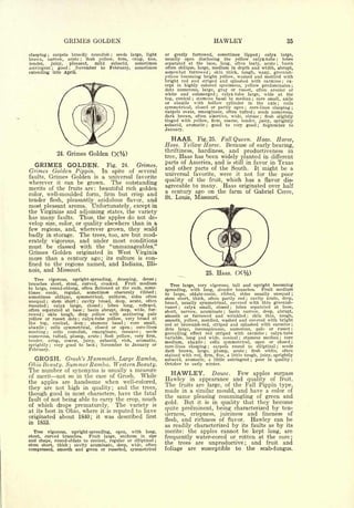 HAWLEY                                                  35

clasping    carpels broadly roundish
                   ;
                                          seeds large, light                 ;
                                                                                                 or gently furrowed, sometimes lipped ; calyx large,
brown,   narrow, acute      flesh yellow, firm,  crisp, fine,
                                                   ;                                             usually open disclosing the yellow calyx-tube        lobes                       ;


tender,    juicy,   pleasant,    mild   subacid,   sometimes                                     separated at the base, long, often leafy, acute      basin                       ;


astringent     good    November to February, sometimes
                           ;          ;                                                          often oblique, large, medium in depth and width, abrupt,
extending   into April.                                                                          somewhat furrowed skin thick, tough, waxy, greenish-
                                                                                                                              ;


                                                                                                 yellow becoming bright yellow, washed and mottled with
                                                                                                 bright red and striped and splashed with carmine ; ex-
                                                                                                 cept in highly colored specimens, yellow predominates ;
                                                                                                 dots numerous, large, gray or russet, often areolar or
                                                                                                 white and submerged       calyx-tube large, wide at the
                                                                                                                                   ;


                                                                                                 top, conical ; stamens basal to median   core small, axile           ;

                                                                                                 or abaxile with hollow cylinder in the axis ; cells
                                                                                                 symmetrical, closed or partly open    core-lines clasping ;
                                                                                                                                                      ;


                                                                                                 carpels ovate, emarginate, often tufted   seeds numerous,                ;

                                                                                                 dark brown, often abortive, wide, obtuse ; flesh slightly
                                                                                                 tinged with yellow, firm, coarse, tender, juicy, sprightly
                                                                                                 subacid, aromatic ; good to very good ; September to
                                                                                                 January.

                                                                                                    HAAS.          Fig. 25.  Fall Queen. Haas. Horse,
                                                                                                 Hoss. Yellow Horse.           Because of early bearing,
                                                                                                 thriftiness,       hardiness, and productiveness in
                               24.   Grimes Golden
                                                                                                 tree, Haas       has been widely planted in different
   GRIMES GOLDEN.                                                                  Grimes.       parts of America, and is still in favor in Texas
                                                                         Fig. 24.                and other parts of the South. It might be a
Grimes Golden Pippin.                                                  In spite of several
                                                                                                 universal favorite, were it not for the poor
faults,Grimes Golden is                                                a universal favorite
wherever it can be grown.      The outstanding                                                   quality of the fruit, which has a flavor dis-
merits of the fruits are: beautiful rich golden                                                  agreeable to many. Haas originated over half
                                                                                                 a century ago on the farm of Gabriel Cerre,
color, well-moulded form, firm but crisp and
                                                                                                 St. Louis, Missouri.
tender flesh, pleasantly acidulous flavor, and
most pleasant aroma. Unfortunately, except in
the Virginias and adjoining states, the variety
has many faults. Thus, the apples do not de-
velop size, color, or quality elsewhere than in a
few regions, and, wherever grown, they scald
badly in storage. The trees, too, are but mod-
erately vigorous, and under most conditions
must be classed with the "unmanageables."
Grimes Golden originated in West Virginia
more than a century ago; its culture is con-
fined to the regions named, and Indiana, Illi-
nois, and Missouri.
                                                                                                                          25.      Haas.       (XV )
                                                                                                                                                  2
   Tree vigorous, upright-spreading, drooping, dense                                         ;

branches short, stout, curved, crooked.         Fruit medium                                        Tree large, very vigorous, tall and upright becoming
to large, round-oblong, often flattened at the ends, some-                                                                                       Fruit medium
                                                                                                 spreading, with long, slender branches.
times    conic,    regular,   sometimes obscurely ribbed                                     ;
                                                                                                 to large, oblate-conic, ribbed, sides usually unequal ;
sometimes oblique, symmetrical, uniform, sides often                                             stem short, thick, often partly red       cavity acute, deep,
                                                                                                                                                          ;

unequal     stem short
               ;            cavity broad, deep, acute, often
                                           ;
                                                                                                 broad, usually symmetrical, covered with thin greenish-
russeted     calyx large, closed        lobes long,    reflexed,
               ;                                                       ;
                                                                                                 russet   ;calyx small, closed ; lobes separated at base,
often separated at base        basin abrupt, deep, wide, fur-
                                                       ;
                                                                                                 short, narrow, acuminate       basin narrow, deep, abrupt,
                                                                                                                                        ;
rowed  ;  skin tough, deep yellow with scattering pale                                           smooth or furrowed and wrinkled            skin thin, tough, ;


yellow or russet dots       calyx-tube yellow, very broad at
                                               ;
                                                                                                 smooth, yellow, mottled, washed and covered with bright
the top, conical, deep          stamens basal      core small,
                                                           ;                     ;
                                                                                                 red or brownish-red, striped and splashed with carmine ;
abaxile    cells symmetrical, closed or open
           ;
                                                      core-lines                     ;
                                                                                                 dots large, inconspicuous, numerous, pale or russet ;
meeting      cells
               ;     roundish, emarginate, concave         seeds                         ;
                                                                                                 prevailing effect red striped with carmine ; calyx-tube
numerous, tufted, plump, acute flesh yellow, very firm,            ;
                                                                                                 variable, long and wide, conical       stamens median
                                                                                                                                                ;
                                                                                                                                                           core                       ;

tender, crisp, coarse, juicy, subacid,        rich,   aromatic,                                  medium, abaxile      cells symmetrical, open or closed ;
                                                                                                                      ;

sprightly    very good to best
                       ;
                                     November to January or    ;
                                                                                                 core-lines clasping              round to elliptical     seeds
                                                                                                                        carpels
                                                                                                                          ;                                                       ;

February.                                                                                        dark brown, large, plump, acute           flesh  white, often
                                                                                                                                                      ;


                                                                                                 stained with red, firm, fine, a little tough, juicy, sprightly
   GROSH.                                  Mammoth. Large Rambo,
                                     Grosh's                                                     subacid, aromatic, a little astringent      poor in quality      ;                        ;



Ohio Beauty.                         Summer Rambo. Western Beauty.                               October to early winter.
The number                           of   synonyms                     is   usually a measure
of merit   not so in the case of Grosh. While
                                                                                                   HAWLEY.                        Douse.        Few                       apples surpass
the apples are handsome when well-colored,                                                       Hawley in appearance and quality of fruit.
                                                                                                 The fruits are large, of the Fall Pippin type,
they are not high in quality; and the trees,                                                     made in a similar mould, and have a color of
though good in most characters, have the fatal                                                   the same pleasing commingling of green and
fault of not being able to carry the crop, much
                                  The variety is                                                 gold.  But it is in quality that they become
of which drops prematurely.
at its best in Ohio, where it is reputed to have                                                 quite preeminent, being characterized by ten-
                                                                                                 derness,        crispness,     and fineness of
                                                                                                                                       juiciness
originated about 1840; it was described first                                                                 and richness of
in 1853.                                                                                         flesh,                          Hawley can be
                                                                                                                                            flavor.
                                                                                                 as readily characterized by its faults as by its
   Tree vigorous, upright-spreading, open, with long,                                            merits: the apples cannot be kept long, are
stout, curved branches.    Fruit large, uniform in size
and shape, round-oblate to conical, regular or elliptical                                        frequently water-cored or rotten at the core                                              ;



stem short, thick
                                                                                             ;
                                                                                                 the trees are unproductive; and fruit and
                    cavity acuminate, deep, wide, often
                                      ;


compressed, smooth and green or russeted, symmetrical                                            foliage are susceptible to the scab-fungus.
 