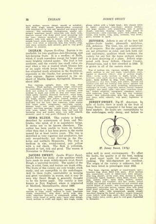 INGRAM                                                                                                    JERSEY SWEET

basin shallow, narrow, abrupt, smooth or wrinkled                                                                      ;   glossy, yellow with a bright blush                                      ;
                                                                                                                                                                                                        dots obscure white
skin thick, tough, smooth, greenish-yellow overspread                                                                      or russet     calyx-tube cone-shape
                                                                                                                                                    ;                                              ;
                                                                                                                                                                                                               stamens       median   ;



with brownish-red or dull red, splashed and striped with                                                                   core large, abaxile    cells symmetrical, open or partly
                                                                                                                                                                    ;



carmine     dots scattering, inconspicuous, usually sub-
                  ;
                                                                                                                           closed ; core-lines clasping ;   carpels large, round to
merged, sometimes russet      calyx-tube very short, wide, ;
                                                                                                                           broad-obovate ; seeds numerous, acute flesh yellow, firm,                   ;



truncate conical with fleshy pistil point projecting into                                                                  coarse, very tender, crisp, juicy, aromatic, very sweet                                                    ;



the base      stamens marginal
                          ;
                                   core of medium size,                 ;                                                  good ; October to April.
abaxile   cells wide open to closed
              ;
                                        core-lines meeting                          ;                                  ;


carpels round    seeds numerous, large, wide, long, plump,
                               ;                                                                                                JEFFERIS.              one of the best fall
                                                                                                                                                                        Jefferis is
acute   flesh white or yellowish, firm, fine, tender, crisp,                                                                                        fruits
      ;
                                                                                                                           apples                    pleasantly   acidulous,
                                                                                                                                                                    tender,
very juicy, aromatic, mild subacid     good to very good                        ;                                      ;
                                                                                                                                            The trees, too, are satisfactory
October to January.                                                                                                        rich, delicious.
                                                                                                                           in all respects. But the apples ripen unevenly,
  INGRAM.                               Ingram Seedling. Ingram                                                 is   re-   are not attractive in color, and lack both size
markable for two qualities   late-blooming, and                                                                            and uniformity, qualities which condemn the
late-keeping fruits. It is a seedling of Rails,                                                                            variety for any but the home orchard, where
which it much resembles except for larger and                                                                              it is most deserving of a place.   Jefferis origi-
more brightly colored apples. The fruit is but                                                                             nated with Isaac Jefferis, Chester County,
mediocre, and the variety has small value ex-                                                                              Pennsylvania, and                      is first recorded in 1848.                                      It
cept when a tree is wanted which blooms late                                                                               is   grown                   in all of the eastern states.
or an apple which keeps long.      This variety
                                                                                                                              Tree of medium size, vigorous, upright, open.       Fruit
has attracted much attention in the Southwest,                                                                             small, uniform in size and shape, round-oblate, conic,
                                              in
especially in the Ozarks, but promises little                                                                              regular or obscurely ribbed       stem of medium length,      ;



other regions.   Ingram originated in the or-                                                                              thick    cavity acute, medium in depth, broad, sym-
                                                                                                                                    ;

                                                                                                                           metrical   calyx small, closed or open ; lobes short, broad,
chard of Martin Ingram, Springfield, Missouri,
                                                                                                                                            ;


                                                                                                                           acute ; basin shallow to deep, wide, abrupt, smooth,
about 1850.                                                                                                                symmetrical     skin thin, tough, pale yellow, blushed and
                                                                                                                                                        ;


                                                                                                                           mottled with dull red overlaid with narrow splashes and
  Tree                vigorous,             upright,                dense,              with       long,         stout
                                                                                                                           stripes of carmine    dots small, scattering, inconspicuous,
                                                                                                                                                                ;

branches.   Fruit medium, sometimes large, round-conic                                                                     submerged or russet calyx-tube narrow, conical stamens
                                                                                                                                                                        ;                                                ;


to round-oblate, symmetrical ; stem short, varying from                                                                    marginal core small, axile cells open ; core-lines clasp-
                                                                                                                                                ;                                   ;

thick and swollen to slender ; cavity acuminate, from                                                                      ing  ; carpels elliptical, emarginate, sometimes tufted                                                    ;

medium in depth and width to deep and broad, some-                                                                         seeds numerous, large, wide, long, flat, very irregular,
times partly russeted, obscurely furrowed   calyx large,                                       ;
                                                                                                                           obtuse    flesh yellowish-white, firm, fine, crisp, tender,
                                                                                                                                        ;

open ; basin regular, deep, narrow, abrupt    skin thick
                                                                                                                           very juicy, mild, subacid ; very good ; September to
                                                                                                   ;


and tough, smooth, pale yellow, washed, mottled and                                                                        January.
striped with two shades of red and clouded with white
scarf-skin over the base     dots numerous, white areolar
                                                       ;                                                                        JERSEY SWEET.                                                Fig. 27.           American.         In
with russet center, conspicuous         calyx-tube conical                  ;                                          ;
                                                                                                                           spite of faults, there                              much in the
                                                                                                                                                                                    is                                   fruit of
stamens   basal    core small, axile     cells  symmetrical,
closed   core-lines meeting
                                   ;


                               carpels round, tufted    seeds  ;
                                                                                    ;


                                                                                                            ;
                                                                                                                           Jersey Sweet to                              commend it for home
                                                                                                                                                                   use and
          ;

wide, acute, tufted     flesh yellow, firm, and hard but
                                            ;
                                                                                                                           local markets. Its faults are: susceptibility to
becoming crisp and tender, juicy, very mild subacid,                                                                       the scab-fungus, early decay, and failure to
aromatic good to very good February to June.
                      ;                                             ;




  IOWA BLUSH.                                                      This variety                        is   briefly
described by nurserymen of Iowa and Ne-
braska, who speak of it in superlative terms.
It seems not to be known elsewhere.        The
author has been unable to learn its history,
other than that it has been grown in the states
named for at least twelve years. The tree is
described as very vigorous and productive, but
only second-hardy, not thriving in the Da-
kotas and northern Minnesota. The fruit is
medium in size, round-conical, pale yellow
with a red cheek.      The flesh is yellowish,
subacid or tart, rich and good. The season is                                                                                                               27. Jersey Sweet.                          (X%)
November                        to February.
                                                                                                                           color well in most environments.      To offset
  JACOBS SWEET.                                                         Jacobs Winter Sweet.                               the faults, the quality is of the best, making
Jacobs Sweet has                                    many            of the qualities                        which          a good sweet apple for either dessert or
have made its more widely-known rival,                                                                      Sweet          cooking.    The tree-characters are excellent.
Bough, a universal favorite. The apples of the                                                                             The origin of the variety is unknown, but it
two, in color, form, and texture are much alike.                                                                           has been listed in pomologies since 1845.
The   fruits of this variety are                                                 very tender, crack
                      and are susceptible to the scab-fungus.                                                                 Tree large, vigorous, upright or round-topped, open                                                     ;
easily,                                                                                                                                                               Fruit medium
                                                                                                                           branches long, stout, filled with spurs.
Add  to these faults, unreliability in keeping                                                                             size, round-ovate, conic or oblate-conic, sides unequal                                                        ;

and great variability in season, and it may be                                                                             stem long, slender cavity acute, deep, medium in width,
                                                                                                                                                                ;



seen why Sweet Bough is generally thought                                                                                  occasionally lipped, russeted ; calyx small, closed ; lobes
                                                                                                                           long,   narrow, acute      basin small, shallow, narrow,
to be the better apple. The variety is best
                                                                                                                                                                            ;


                                                                                                                           abrupt, ribbed and wrinkled       skin fine, tender, yellow       ;

known in New England, where it originated                                                                                  washed and mottled with brownish-red and overlaid with
at Medford, Massachusetts, about 1860.                                                                                     narrow stripes of carmine dots inconspicuous, greenish,
                                                                                                                                                                                ;


                                                                                                                           submerged ; calyx-tube narrow, conical, often with fleshy
  Tree                medium           to
                             vigorous, spreading.   Fruit
                                                    large,                                                                 pistil point projecting into the base      stamens median ;                     ;


medium                    toinclined to conic, sometimes
                               large,       round,                                                                         core large, axile ; cells symmetrical, usually closed ;
oblate, symmetrical     stem short    cavity wide, deep,
                                                ;                               ;
                                                                                                                           core-lines clasping the funnel cylinder    carpels elongated-                   ;


acute, sometimes furrowed or compressed, seldom rus-                                                                       ovate, tufted ; seeds large, acute ; flesh yellow, firm, fine,
seted ; calyx closed or partly open   basin often abrupt,                           ;                                      crisp, tender, juicy, sweet ; good to very good ; September
round, medium in width and depth ; skin tough, waxen,                                                                      to December.
 