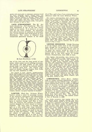 LATE STRAWBERRY                                                                                                 LIMBERTWIG                                                               41

areolar with russet point or submerged, numerous toward                                 Civil War, and to have been reintroduced from
the basin      calyx-tube conical    stamens basal     core
                 ;                                  ;


                            cells not uniformly developed,
                                                                             ;
                                                                                        Delaware under the name Delaware Winter.
small, axile to abaxile                   ;


closed   core-lines meeting or clasping      carpels broad,                                Tree vigorous, round-spreading, dense
             ;                                                       ;
                                                                                                                                      branches long,                                   ;
round to round-ovate, mucronate, sometimes emarginate,                                                    Fruit medium to large, round or oblate,
                                                                                        stout, curved.
tufted   flesh yellow,   firm, fine,  crisp, tender, juicy,
             ;
                                                                                        regular and symmetrical       stem variable, often long and;

sweet, with a distinct and pleasant aroma ; very good to                                slender ; cavity acute or acuminate, deep, large and
best   November to April or May.
     ;
                                                                                        broad, often compiessed or furrowed, more or less rus-
                                                                                        seted and often with outspreading russet rays          calyx
   LATE STRAWBERRY.                Fig. 32.   Au-                                       small, closed or open, often leafy          lobes sometimes                        ;
                                                                                                                                                                                                        ;




tumn   Strawberry. Fall Strawberry. The true                                            separated at the base     basin wide, flat and obtuse, some-
                                                                                                                                           ;


                                                                                        times deep and abrupt, gently furrowed, sometimes
Late Strawberry is one of the best dessert                                              wrinkled skin thin, tough, smooth, occasionally showing
                                                                                                                   ;


apples of its season. It is, however, an apple                                          the yellow ground-color but usually covered with bright
only for the home orchard.         Its reputation                                       red which deepens about the base and is often mottled
                                                                                        and streaked with dull gray scarf-skin, toward the apex
has suffered because of confusion in nomencla-                                                         dots white or russet, small and numerous
                                                                                        lighter red                    ;


ture, several distinct sorts being grown as Late                                        about the basin, large and scattering toward the cavity ;
Strawberry.                 The           variety       is       debarred        from   calyx-tube long, narrow at top, funnel-form          stamens                                                ;

                                                                                        median core abaxile, medium in size cells symmetrical,
commercial plantation because of the small                                                                 ;                                                           ;


                                                                                        open or closed       core-lines clasping   ;carpels concave,                       ;

                                                                                        round to obcordate, tufted        seeds dark, large, wide,         ;


                                                                                        obtuse, tufted ; flesh yellow, firm, breaking, fine, crisp,
                                                                                        tender, juicy, brisk subacid, aromatic        fair to good ;                               ;


                                                                                        January to May or June.

                                                                                             LEHIGH GREENING.                                                          Lehigh Greening
                                                                                        is of the Pippin rather than of the Greening
                                                                                        type, though the two groups are very similar.
                                                                                        Were there not several other better sorts of
                                                                                        its kind, the variety would be rated as an
                                                                                        excellent green winter-apple. Its origin is not
                                                                                        known, but it has been grown in Lehigh
                                                                                        County, Pennsylvania, since 1840 at least.
                                                                                           Tree vigorous, wide-spreading, open        branches stout,                          ;

                                                                                        crooked.   Fruit medium to large, uniform in size and
                     32.   Late Strawberry.                                             shape, round-oblate to round-conic, sides sometimes un-
                                                                                        equal    stem medium to long, slender ; cavity acute,
                                                                                                   ;


size of the  fruit and the long period of ma-                                           medium in depth, narrow, sometimes lipped, russeted
                                                                                        and often with outspreading russet rays
turity, which makes several pickings necessary.                                                                                          calyx open ;                                       ;

                                                                                        lobes narrow, acuminate, often separated at the base
The beauty and high quality of this apple                                               basin large, abrupt, shallow, wide, gently furrowed ;
                                                                                                                                                                                                                    ;




should make it a favorite in orchards planted                                           skin dark green becoming waxen yellow, occasionally
for choicely good fruit.    The variety origi-                                          with a thin blush of bright red         dots numerous, sub-            ;


                                                                                        merged or pale areolar with russet point ; calyx-tube
nated at Aurora, Cayuga County, New York,                                               long and wide, broadly funnel-shape         stamens median                     ;                                            ;

and was first described in 1848.                                                        core small, abaxile    cells symmetrical, wide open
                                                                                                                                       ;        core-                                                       ;

                                                                                        lines clasping   carpels pointed-ovate to broadly cordate,
                                                                                                                           ;

   Tree medium to large, vigorous, upright-spreading,                                   tufted   seeds numerous, medium in size, dark brown,
                                                                                                       ;

hardy, healthy, long-lived, yielding regularly and heavily.                             elongated, plump, acute      flesh yellow, firm, fine, crisp,
                                                                                                                                               ;

Fruit small, uniform in size and shape, round or oblong-                                tender, juicy, sprightly, mild subacid, aromatic ; good
conic, sometimes strongly ribbed, irregular ; stem long,                                or very good ; January to May.
slender, often curved       cavity acuminate, deep, broad,
                                      ;


furrowed, sometimes with thin radiating streaks of                                           LIMBERTWIG.       James River. Limber-
light russet mingled with carmine         calyx large, open ;
                                                         ;


lobes often separated at base, short, acute, erect or                                   twig     a rather common appellation for varie-
                                                                                                       is
reflexed ; basin deep, wide, abrupt, furrowed and wrin-                                 ties of apples having willowy twigs. Possibly a
kled   skin pale yellow often almost entirely overspread
     ;

with bright red, dotted and streaked with purplish-car-
                                                                                        dozen varieties have been so called in different
mine dots inconspicuous, light colored prevailing effect
         ;                                                       ;                      parts of America, but the name belongs prop-
bright striped red ; calyx-tube wide, conical         stamens            ;
                                                                                        erly to a variety producing a medium-sized,
basal ; core small, axile to abaxile ; cells closed or open
                                                                                        deep-red, late-keeping apple rather popular in
                                                                                    ;

core-lines meeting      carpels ;
                                 obovate    seeds large, flat,
                                                             ;


obtuse    flesh yellow, fine, crisp, tender, juicy, sprightly,
             ;
                                                                                        southern latitudes. The tree is vigorous and
aromatic, subacid very good ; September to December.
                            ;
                                                                                        productive, its slender branches usually bend-
                                                                                        ing in season with a heavy crop.     The fruit
  LAWYER.                           Black Spy.          Delaware Winter.
                                                                                        keeps from April until May. The origin of
Lawver   retains a place in pomology because
                                                                                        Limbertwig is not known; the earliest notice
of the attractive appearance and long-keeping                                           is that of Kenrick in 1832.
quality of the fruit. The apples are a hand-
some red, very uniform in shape and size, and                                              Tree thrifty, productive, fruit hanging well to the
                                                                                        tree   laterals slender becoming drooping with heavy
keep in common storage until                                     May                           ;
                                         or June.                                                Fruit medium, uniform in size and shape, round
                                                                                        crops.
They are, however, but mediocre in quality                                              to oblate-conic, symmetrical and regular  stem medium                                          ;

                                                                                        in length and thickness, usually not exserted ; cavity
scarcely desirable for either dessert or culinary
                                                                                        acuminate, deep, broad, sometimes russeted, smooth or
purposes.   The trees come in bearing early,                                            gently furrowed    calyx small, closed or partly open ;
                                                                                                                                   ;


and, as a rule, yield large crops biennially.                                           lobes short, broad, sometimes recurved     basin small,                                         ;


The variety is at its best in southern latitudes;                                       narrow, shallow and obtuse or deep and abrupt, often
                                                                                        furrowed    skin roughened with numerous conspicuous
in the North the apples run small in size and                                                                  ;

                                                                                        russet dots, yellow covered with red, deepening in t'.ie
poor in color and quality. Fruit and foliage                                            sun to dark red, obscurely striped with dull carmine,
are subject to apple-scab.       The origin of                                          sometimes marked with broken russet veins        prevailing                                             ;

                                                                                        effect dark red  calyx-tube cone-shape    stamens median
Lawver is uncertain, but it is said to have                                             core sessile, abaxile, small
                                                                                                                               ;


                                                                                                                        cells not uniformly de-        ;
                                                                                                                                                                       ;                                        ;




come from Parkville, Missouri, soon after the                                           veloped, symmetrical, closed or open   core-lines clasping ;               ;
 