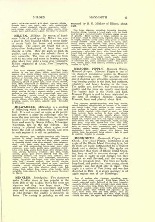 MILDEN                                                                                                              MONMOUTH                                                                          45

point ; calyx-tube conical, with short, truncate cylinder ;                                                                 renamed by                               S.           G. Minkler of                   Illinois,                 about
stamens basal ; core small, axile       cells symmetrical,                        ;
                                                                                                                            1865.
closed   carpels elongated, obovate, mucronate, tufted ;
          ;


seeds plump, acute, tufted     flesh yellow, coarse, crisp,           ;
                                                                                                                              Tree large, vigorous, spreading, becoming drooping
tender, juicy, mild subacid   good November to January.           ;           ;
                                                                                                                            branches strong, forming a broad angle with the trunk
                                                                                                                                                                                                                                                             ;




                                                                                                                            and having a characteristically irregular, zigzag manner
  MILDEN.      Milding. By reason of hand-                                                                                  of growth.    Fruit medium to large, uniform in size
                                                                                                                            and shape, round to oblate-conic, regular stem medium
some  fruits ofgood quality, Milden has won                                                                                 in length, slender
                                                                                                                                                                                                                    ;


                                                                                                                                                  cavity acute, deep, green or brown,
a place in New England which it seems likely                                                                                faintly russeted
                                                                                                                                                                          ;


                                                                                                                                                 calyx small, closed or open
                                                                                                                                                                     ;             lobes                                                    ;

to retain both for home and commercial                                                                                      broad, acute     basin shallow, wide, obtuse, smooth or
                                                                                                                                                             ;



            The apples are bright red on a                                                                                  wrinkled   skin thin, tough, smooth, glossy, pale yellow,
                                                                                                                                         ;
plantings.
                                                                                                                            overspread with light red, obscurely striped and splashed
pale-yellow background, of large size, and                                                                                  with dull carmine      dots small, yellow, gray or russet,
                                                                                                                                                                              ;


shapely in form. They are good, at least, in                                                                                conspicuous    calyx-tube short, wide, funnel-form with
                                                                                                                                                     ;


                                                                                                                            broad limb and narrow cylinder       stamens median     core
quality, and to many the subacid flavor is                                                                                                                                                            ;                                             ;


                                                                                                                            large, axile    cells  closed or partly open      core-lines
very agreeable. The trees are vigorous from
                                                                                                                                                         ;                                                                          ;


                                                                                                                            meeting or clasping        carpels round, usually deeply  ;

start to maturity and come in bearing young,                                                                                emarginate, tufted seeds dark brown, large, long, plump
                                                                                                                                                                          ;


after which they yield a large crop biennially.                                                                             or sometimes flat, acute, sometimes tufted    flesh yellow,                                     ;


                                                                                                                            firm, coarse, juicy, mild subacid, aromatic              No-
Milden originated at Alton, New Hampshire,                                                                                  vember to April.
                                                                                                                                                                            good                                                ;                       ;




about 1865.
   Tree large, vigorous, upright, dense.    Fruit large,
                                                                                                                              MISSOURI PIPPIN. Missouri Orange.
uniform in size and shape, oblate, sometimes conic,                                                                         Missouri Keeper. Missouri Pippin is one of
regular, often faintly ribbed, sides sometimes unequal                                                                  ;   the standard commercial apples in Missouri
stem short, pubescent    cavity acute, deep, wide, sym-
                                                      ;                                                                     and neighboring states. The qualities which
metrical or furrowed, often russeted and with outspread-
ing 'russet rays   calyx large, pubescent ;
                                             lobes long,                                           ;
                                                                                                                            give it standing are: attractive appearance and
acuminate, closed or partly open  basin obtuse, shallow,                      ;                                             long keeping quality in the fruit, and earliness,
wide, often compressed or furrowed     skin waxy, thin,                                   ;
                                                                                                                            reliability, and heavy bearing in the trees.
tough, mottled with bright red and striped and splashed
with carmine over a pale yellow background       dots in-                                                   ;
                                                                                                                            The apples are, however, but second-rate in
conspicuous, few, gray or russet calyx-tube large, cone-                  ;                                                 quality and the trees are usually short-lived.
shape, meeting tke core     stamens, median ; core distant,   ;                                                             The variety fails in the North and East.
medium in size, abaxile cells symmetrical, open core-
lines                       round to ovate, acuminate,
                                                              ;                                                     ;
                                                                                                                            Missouri Pippin is said to have originated on
       clasping    carpels            ;


emarginate, tufted     seeds variable in size and shape,
                                              ;
                                                                                                                            the farm of Brinkley Hornsby, Kingsville,
                 often abortive ; flesh yellow, firm, crisp,
narrow, obtuse,                                                                                                             Missouri, from seed planted about 1840.
breaking, coarse, very juicy, subacid ; good ; November
to February.                                                                                                                   Tree vigorous, upright-spreading, with long, slender,
                                                                                                                            curved branches, characteristic on account of its numer-
     MILWAUKEE.                                                    Milwaukee                      is   a seedling           ous, slender twigs.  Fruit medium in size, round-conic ;
of Oldenburg which it resembles in tree and                                                                                 stem        medium
                                                                                                                                            in length, slender    cavity acute, wide,                     ;


                                                                                                                            deep, faintly russeted ; calyx closed or nearly so    lobes
       It is not so good an apple as its parent,
                                                                                                                                                                                                                                                ;
fruit.                                                                                                                            narrow     basin medium to deep, wide, abrupt,
                                                                                                                            long,                                ;

and deserves a place in pomology only be-                                                                                   wrinkled    skin thick, tough, smooth, glossy, thinly
                                                                                                                                             ;



cause the crop matures late from one to three                                                                               coated with bloom      color pale yellow overspread with
                                                                                                                                                                                  ;


                                                                                                                            bright red, striped with dark red, highly colored speci-
months later than Oldenburg. It originated                                                                                  mens almost solid red ; dots conspicuous, russet, or large,
from seed sown by George Jeffrey, Milwaukee,                                                                                pale gray     calyx-tube funnel-form with wide limb,
                                                                                                                                                 ;



Wisconsin,            the last century.
                                      lateThe         in                                                                    sometimes broadly conical stamens median core small,            ;                                   ;


                                                                                                                            axile, or nearly so   cells symmetrical, open      core-lines
variety is planted only where apples must
                                                                                                                                                                                  ;                                                     ;


                                                                                                                            clasping   carpels smooth,
                                                                                                                                         ;                round-elliptical,   sometimes
brave the cold of northern winters, and even                                                                                emarginate    seeds small, obtuse,
                                                                                                                                                     ;             dark brown        flesh                                                      ;

in such regions it is still on probation.                                                                                   yellow, firm, fine-grained, brisk subacid     fair to good                                  ;

                                                                                                                            in quality   October to January.
                                                                                                                                                 ;


  Tree vigorous, open, upright-spreading with laterals
inclined  to  droop    branches long, slender, crooked.
                                                  ;
                                                                                                                               MONMOUTH.           Monmouth Pippin. Red
Fruit large, uniform in size and shape, oblate, regular
or obscurely ribbed, sides often unequal stem pubescent,
                                                                                                                             Cheek.                Pippin. Monmouth is an
                                                                                                                                                 Red Cheek
                                                                                                                            apple of the Rhode Island Greening type, but
                                                                                              ;


short   cavity large, acute, deep, broad, furrowed, rus-
          ;

seted and with outspreading brown-russet rays           calyx                                                   ;
                                                                                                                            its fruits are easily distinguished by a brighter
pubescent, large, leafy, partly open, sometimes closed ;                                                                    cheek and a distinct flavor. The apples are
lobes wide, long, acute     basin laige, often oblique, deep,
                                                          ;
                                                                                                                            handsomer than those of Rhode Island Green-
wide, abrupt, furrowed, wrinkled          skin thin, tough,                           ;


smooth, glossy, pale yellow blushed with red, con-                                                                           ing, keep as well in common storage, and do
spicuously mottled and striped with carmine               dots                                                      ;        not scald so badly in cold storage; but they
numerous, small, white, often submerged, occasionally                                                                        are not so well flavored, and the crop runs
russet   calyx-tube urn-shaped, with short cylinder and
                  ;

wide limb       stamens median ; core distant, abaxile,
                                  ;
                                                                                                                             more to low-grade fruit. The trees are hardy,
small    cells unsymmetrical, closed or open
              ;
                                                    core-lines                                          ;
                                                                                                                             long-lived, and productive; bear young, almost
clasping     carpels  elliptical  to round-obcordate,     mu-
cronate
                              ;

           seeds few, often abortive, short, wide, flat,                                                                     annually; and fall short only in vigor. This
                                                                                                                             apple is a native of New Jersey and was first
                          ;

obtuse    flesh yellow, firm, coarse, crisp, tender, juicy,
                      ;


sprightly, brisk subacid ; fair to good ; season, November                                                                   described in 1848.                                           It is   grown sparingly                                   in all
to March.
                                                                                                                             apple regions east of the Mississippi.
     MINKLER.                                         Brandywine.                             Two      characters              Tree of medium size, vigorous, spreading, open
 make                         M inkier          more or less popular in the                                                  branches short, stout, crooked.     Fruit large, oblate to
                                                                                                                                                                                                                                                                 ;




 Corn Belt                            of      the Middle West; the trees are                                                 round, somewhat conic, flattened at the base, irregular,
                                                                                                                             obscurely ribbed,  sides often unequal   stem short, thick
 vigorous and they bear large crops.       The                                                                               cavity large, acute, deep, broad, furrowed or compressed,
                                                                                                                                                                                                              ;                                                  ;




 apples are attractive in appearance and keep                                                                                smooth or   russeted   calyx large, leafy, pubescent, open
                                                                                                                                                                                  ;


                                                                                                                             or partly closed     lobes reflexed and separated at the
 very well in common storage but scald badly                                                                                 base   ;
                                                                                                                                                                          ;

                                                                                                                                     basin large, wide and deep, abrupt, often dis-
 in cold storage; the quality is distinctly in-
                                                                                                                             tinctly furrowed and wrinkled     skin thin, tough, smooth           ;

 ferior. The variety is probably an old one                                                                                  toward the base, the upper half often roughened with
 