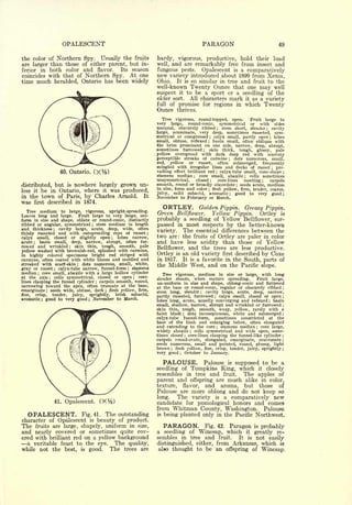 OPALESCENT                                                                  PARAGON                                                         49

the color of Northern Spy. Usually the fruits                  hardy, vigorous,                      productive,                hold their load
are larger than those of either parent, but in-                well,     and are remarkably                           free       from          insect           and
ferior in both color and flavor.     Its season                fungous pests. Opalescent is a comparatively
coincides with that of Northern Spy. At one                    new variety introduced about 1899 from Xenia,
time much heralded, Ontario has been widely                    Ohio. It is so similar in tree and fruit to the
                                                               well-known Twenty Ounce that one may well
                                                               suspect it to be a sport or a seedling of the
                                                               older sort. All characters mark it as a variety
                                                               full of promise for regions in which Twenty
                                                               Ounce       thrives.

                                                                  Tree vigorous, round-topped, open.      Fruit large to
                                                               very large, round-conic, symmetrical or with sides
                                                               unequal, obscurely ribbed     stem short, slender
                                                                                                              ;    cavity                           ;

                                                               large, acuminate, very deep, sometimes russeted, sym-
                                                               metrical or compressed    calyx small, partly open
                                                                                                          ;         lobes                               ;

                                                               small, obtuse, reflexed   basin small, often oblique with
                                                                                                      ;

                                                               the brim prominent on one side, narrow, deep, abrupt,
                                                               sometimes furrowed      skin thick, tough, glossy, pale
                                                                                                 ;

                                                               yellow overspread with dark deep red with scarcely
                                                               perceptible streaks of carmine     dots numerous, small,
                                                                                                                      ;


                                                               red,   yellow or russet, often submerged,       frequently
                                                               mingled with irregular lines and flecks of russet     pre-                                   ;


                     40. Ontario.                              vailing effect brilliant red ; calyx-tube small, cone-shape ;
                                                               stamens median       core small, abaxile
                                                                                         ;                  cells sometimes          ;


                                                               unsymmetrical,     closed     core-lines  meeting ;
                                                                                                          ;          carpels
distributed, but is nowhere largely grown un-                  smooth, round or broadly obcordate seeds acute, medium       ;

                                                               in size, form and color ; flesh yellow, firm, tender, coarse,
less it be in Ontario, where it was produced,                           mild subacid, aromatic ; good to very good ;
                                                               juicy,
in the town of Paris, by Charles Arnold.   It                  November to February or March.
was first described in 1874.
  Tree medium to large, vigorous, upright-spreading.
                                                                 ORTLEY. Golden Pippin. Greasy Pippin.
Leaves long and large. Fruit large to very large, uni-
                                                               Green Bellflower.    Yellow Pippin. Ortley is
form  in size and shape, oblate or round-conic, distinctly     probably a seedling of Yellow Bellflower, sur-
ribbed or angular, symmetrical ; stem medium in length         passed in most respects by the better-known
and thickness ; cavity large, acute, deep, wide, often
                                                               variety. The essential differences between the
thinly russeted and with outspreading rays of russet ;
calyx small, closed or slightly open ; lobes narrow,           two are: the fruits of Ortley are paler in color
acute  ; basin small, deep, narrow, abrupt, often fur-         and have less acidity than those of Yellow
rowed and wrinkled       skin thin, tough, smooth, pale
                                                               Bellflower, and the trees are less productive.
                        ;


yellow  washed with brownish-red, splashed with carmine,
in highly colored specimens bright red striped with            Ortley is an old variety first described by Coxe
carmine, often coated with white bloom and mottled and         in 1817. It is a favorite in the South, parts of
streaked with scarf-skin ; dots numerous, small, white,        the Middle West, and on the Pacific slope.
gray or russet calyx-tube narrow, funnel-form stamens
                 ;                                ;


median ; core small, abaxile with a large hollow cylinder        Tree vigorous,            medium in                 size  or large, with long
at the axis  ;
                cells symmetrical, closed or open ; core-      slender                   when mature                                Fruit large,
                                                                           shoots,                                    spreading.
lines clasping the funnel cylinder   carpels smooth, round,    un-uniform in         size    and shape, oblong-conic and
                                    ;
                                                                                                                                                    flattened
narrowing toward the apex, often truncate at the base,         at the base or round-conic, regular or obscurely ribbed                                            ;

emarginate ;  seeds wide, obtuse, dark ; flesh yellow, firm,   stem long, slender    cavity large, acute, deep, narrow,
                                                                                             ;

fine,  crisp,  tender,  juicy,  sprightly,   brisk  subacid,
                                                               partly russeted, furrowed ; calyx small, closed or open ;
aromatic ; good to very good ; November to March.              lobes long, acute, usually converging and reflexed   basin                               ;


                                                               small, shallow, narrow, abrupt and wrinkled or furrowed                                            ;

                                                               skin thin, tough, smooth, waxy, yellow, rarely with a
                                                               faint blush ; dots inconspicuous, white and submerged                                              ;


                                                               calyx-tube funnel-form, sometimes constricted at the
                                                               base of the limb and enlarging below, often elongated
                                                               and extending to the core stamens median core large,
                                                                                                              ;                                ;


                                                               widely abaxile cells symmetrical and wide open, some-
                                                                                     ;


                                                               times closed core-lines clasping the funnel-like cylinder ;
                                                                                 ;


                                                               carpels round-ovate, elongated, emarginate, mucronate                                              ;

                                                               seeds numerous, small and pointed, round, plump, light
                                                               brown flesh yellow, fine, crisp, tender, juicy, sprightly ;
                                                                       ;


                                                               very good    October to January.
                                                                             ;




                                                                 PALOUSE.                        Palouse              is    supposed to be a
                                                               seedling of Tompkins King, which it closely
                                                               resembles in tree and fruit. The apples of
                                                               parent and offspring are                               much               alike in color,
                                                               texture,          flavor,             and
                                                                                       aroma, but those of
                                                               Palouse are more oblong and do not keep so
                                                               long.   The variety is a comparatively new
                 41. Opalescent.        (X%)                   candidate for pomological honors and comes
                                                               from Whitman County, Washington. Palouse
   OPALESCENT.         Fig. 41. The outstanding                is being planted only in the Pacific Northwest.
character of Opalescent is beauty of product.
The fruits are large, shapely, uniform in size,                   PARAGON.                           Fig. 42.          Paragon                is   probably
and nearly covered or sometimes quite cov-                     a seedling of Winesap, which                                              it   greatly re-
ered with brilliant red on a yellow background                 sembles in tree and                                fruit.        It       is    not easily
  a veritable feast to the eye. The quality,                   distinguished, either,                         from Arkansas, which is
while not the best, is good.     The trees are                  also thought to be                            an offspring of Winesap.
 