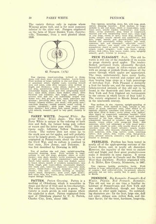 50                                  PARRY WHITE                                                                                                           PENNOCK
The            variety              thrives               only           in regions where                      Tree vigorous, spreading, dense, flat, with long, stout,
                                                                                                            curved, drooping branches.       Fruit medium to large,
Winesap grows                            well,           and        is   for most purposes                  uniform in size and shape, oblate or round-oblate, some-
inferior to the older sort.
                          Paragon originated                                                                times conic, usually regular, symmetrical        stem short,                          ;


on the farm of Major Rankin Toole, Fayette-                                                                 thick   ;cavity acuminate, deep, broad or compressed,
                                                                                                            russeted and with outspreading russet rays        calyx large
ville, Tennessee, from a seed planted about
                                                                                                                                                                                                      ;

                                                                                                            or very large, closed or open      basin deep, medium in          ;

1830.                                                                                                       width, abrupt, usually smooth and symmetrical            skin                                             ;


                                                                                                            thin, tough,    smooth, pale greenish-yellow, sometimes
                                                                                                            blushed and occasionally faintly striped         dots small,                      ;


                                                                                                            numerous, pale and submerged           calyx-tube conical                 ;                                       ;

                                                                                                            stamens median       core small, axile or abaxile
                                                                                                                                                     ;               cells                                        ;


                                                                                                            symmetrical,   closed or partly open    core-lines clasping                   ;                                   ;

                                                                                                            carpels round, irregular      seeds dark brown, plump,
                                                                                                                                                                ;


                                                                                                            obtuse          ;
                                                                                                                                    flesh yellow, firm,          coarse, tender, juicy, sprightly
                                                                                                            subacid             ;    good    ;       October    to January.

                                                                                                                 PECK PLEASANT.          Peck. This old fa-
                                                                                                            vorite is still one of the standards of its season
                                                                                                            to gauge choicely good apples.       The tender-
                                                                                                            fleshed,                  perfumed fruits, pleasantly flavored,
                                                                                                            beautiful                  and unique in color waxen yellow
                                                                                                            with an orange or pinkish blush please all the
                                   42.    Paragon.                                                          senses through which apples are appreciated.
                                                                                                            The             trees,          unfortunately,                            have many               faults,
   Tree vigorous, round-spreading, inclined to droop,
                                              Leaves broad.
                                                                                                            being subject to root-rot and canker and sel-
dense, with short, stout, twisted branches.
Fruit medium or large, uniform in size and shape, round                                                     dom bearing large crops or a high percentage
or sometimes oblate, slightly conic, rounding toward                                                        of first-class fruit. Peck Pleasant is distinctly
stem and calyx, sides often unequal       stem medium in                    ;
                                                                                                            a fruit for family use, and the many spreading,
length and thickness      cavity obtuse, shallow to wide
                                              ;

and deep, symmetrical, often furrowed or compressed,                                                        lichen-covered ancients of this old sort to be
occasionally lipped, russet and with outspreading russet                                                    found in the dooryards and farm orchards of
ra.ys  ;calyx small, closed ; basin shallow, obtuse, often
fui rowed and wrinkled;      skin tough, smooth, yellow,
                                                                                                            New York and New England are testimonials
covered with dull red and indistinctly striped with                                                         to the esteem in which lovers of fruit hold it.
darker red    dots gray or white, small, sometimes con-
                        ;
                                                                                                            The variety originated in Rhode Island early
spicuous ; prevailing effect dark red     calyx-tube small,                 ;                               in the nineteenth century.
conical   stamens median core small ; cells partly open ;
               ;                                     ;

core-lines clasping ; carpels concave, round varying to                                                        Tree medium in size, vigorous, upright-spreading or
cordate, emarginate      seeds large, long, acute, dark,
                                         ;                                                                  round, dense.    Fruit medium to large, variable in size,
often abortive ; flesh yellow, firm, coarse, tender, juicy,                                                 oblate or round, sometimes conic, often ribbed or ir-
mild subacid, aromatic ; good to very good ; January to                                                     regularly elliptical, sometimes with furrow on one side ;
May.                                                                                                        stem short, thick or fleshy cavity obtuse, wide, shallow,
                                                                                                                                                                    ;

                                                                                                            often lipped or compressed, sometimes russeted          calyx
   PARRY WHITE.
                                                                                                                                                                                                              ;



                        Imperial White. Su-                                                                 pubescent, large     lobes long, open or closed, sometimes
                                                                                                                                                 ;



                 White Apple. The fruit of                                                                  separated at the base, obtuse          basin broad, obtuse,
perior White.
                                                                                                                                                                                  ;


                                                                                                            symmetrical, furrowed or wrinkled         skin thick, tough,
Parry White is unique in the coloring of both
                                                                                                                                                                                          ;


                                                                                                            smooth, waxen yellow with orange-red blush ; dots
skin and flesh, the former being pale yellow                                                                numerous, white and submerged or with russet point ;
or waxen and the latter pure white. The crop                                                                core small, abaxile to axile    cells usually closed or slit ;
                                                                                                                                                                        ;


                                                                                                            core-lines clasp the funnel cylinder ;       carpels tender,
ripens early, following Yellow Transparent                                                                  broadly round, often truncate, emarginate, mucronate ;
closely.  The variety does not come up to                                                                   seeds numerous, dark, long, narrow, acute, sometimes
the mark now set for apples, and will probably                                                              tufted    flesh yellow, firm,
                                                                                                                        ;                   tender, crisp, fine-grained,
                                                                                                            juicy, pleasant subacid, aromatic ; very good to best ;
never be largely grown. It is supposed to have                                                              October to January.
originated in Pennsylvania about the close of
the Civil War, and its culture is confined to                                                                    PEERLESS.    Peerless has been tested in
that state, New Jersey, and Delaware.        It                                                             nearly       the apple-growing sections of the
                                                                                                                                    all of
was first described by Downing in 1872.                                                                     United States, and, in nearly all, discarded.
  Tree             of       medium            size       and
                                                                                                            However, the capacity of the trees to endure
                                                                   vigor,           upright-spreading,      cold and blight and their great productiveness
somewhat                drooping,              dense.             Fruit     medium            to   large,
uniform            in       size    and shape,                    globular,          oblate   or ovate,     make it desirable in some regions. It seems
regular  stem short, slender cavity acuminate, medium
               ;                                              ;                                             to be more popular in Canada and the Middle
in depth and width, smooth, symmetrical     calyx small,
closed  lobes narrow, acute
           ;                 basin very shallow, narrow
                                                                                       ;
                                                                                                            West than elsewhere. Peerless originated with
                                                          ;

to broad, obtuse, smooth or wrinkled, symmetrical   skin                                           ;
                                                                                                            J.   G. Miller, Rice County, Minnesota, in 1867.
thick, tough, pale waxen-yellow, occasionally blushed                                                   ;

dots small, pale, numerous, depressed                                                                            Tree               vigorous,            healthy,           productive,       hardy.                      Fruit
                                           calyx-tube short,                    ;


narrow, funnel-shape ; stamens marginal ; core small,                                                       medium   to large, yellowish-green with stripes and splashes
abaxile    cells open
               ;          core-lines meeting or clasping
                                          ;
                                                                                                            of carmine     flesh yellowish-white, fine-grained, subacid,
                                                                                                                                       ;
                                                                                                        ;


carpels round, emarginate ; seeds acute, light brown ;                                                      agreeable but not rich ; quality fair to good       October                                   ;


flesh white, firm, fine, tender, juicy, subacid ; good ; late                                               to March.
August through October.
                                                                                                                 PENNOCK.                                 Big Romanite. Pennock's                                         Red
  PATTEN.        Patten Greening. Patten is a                                                               Winter. Phoenix. Red Pennock. Romanite.
seedling of Oldenburg, which it resembles in                                                                This old sort was at one time a familiar in-
shape and flavor of fruit and in tree-characters.                                                           habitant of Pennsylvania and New York and
The color of the fruit, however, is green. The                                                              was widely distributed, though not largely
variety is much grown in cold regions where                                                                 planted, in other apple regions. Its outstand-
the apple-list is short. Patten originated from                                                             ing characters are: for the fruit, large size, dull
seed of Oldenburg planted by C. G. Patten,                                                                  red color, oblique axis, yellow flesh, and dis-
Charles City, Iowa, about 1885.                                                                             tinct flavor; for the trees, hardiness, longevity,
 