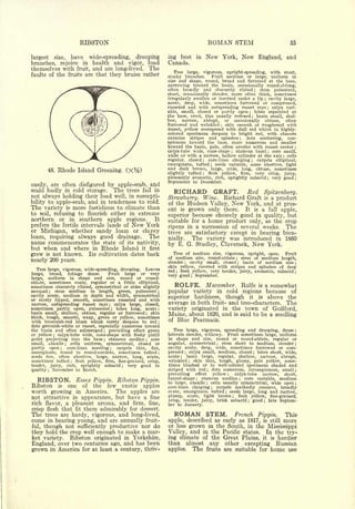 RIBSTON                                                                     ROMAN STEM                                                       55


largest            size,       have      wide-spreading, drooping            ing    best          in       New             York,                    New    England, and
branches,              rejoice      in    health and vigor, load             Canada.
themselves with   fruit, and are long-lived. The
                                                                                Tree large, vigorous, upright-spreading, with stout,
faults of the fruits are that they bruise rather                                                  Fruit medium or large, uniform in
                                                                             stocky branches.
                                                                             size and shape, round, broad and flattened at the base,
                                                                             narrowing toward the basin, occasionally round-oblong,
                                                                             often broadly and obscurely ribbed ; stem pubescent,
                                                                             short, occasionally slender, more often thick, sometimes
                                                                             irregularly swollen or inserted under a lip      cavity large,                     ;


                                                                             acute, deep, wide, sometimes furrowed or compressed,
                                                                             russeted and with outspreading russet rays         calyx vari-                         ;


                                                                             able, small, closed or partly open ; lobes separated at
                                                                             the base, erect, tips usually reflexed     basin small, shal-             ;


                                                                             low,   narrow, abrupt,      or occasionally    obtuse,   often
                                                                             furrowed and wrinkled       skin smooth or roughened with
                                                                                                                       ;


                                                                             russet, yellow overspread with dull red which in highly-
                                                                             colored specimens deepens to bright red, with obscure
                                                                             carmine stripes and splashes          dots scattering,    con-     ;


                                                                             spicuous toward the base, more numerous and smaller
                                                                             toward the basin, pale, often areolar with russet center                                             ;


                                                                             calyx-tube wide, cone-shape      stamens basal     core small,
                                                                                                                                    ;                               ;

                                                                             axile or with a narrow, hollow cylinder at the axis ; cells
                                                                             regular, closed ; core-lines clasping      carpels elliptical,            ;


                                                                             emarginate, tufted     seeds variable, some abortive, light
                                                                                                               ;

                                                                             and dark brown, large, wide, long, obtuse, sometimes
          48.          Rhode       Island Greening.           (X%)                     tufted   flesh yellow, firm,
                                                                             slightly                  ;               very crisp, juicy,
                                                                             pleasantly aromatic, rich, sprightly subacid ; very good ;
                                                                             September to December.
easily, are often disfigured by apple-scab, and
scald badly in cold storage. The trees fail in                                    RICHARD     GRAFT. Red Spitzenberg.
not always holding their load well, in suscepti-
                                                                             Strawberry. Wine. Richard Graft is a product
bility to apple-scab, and in tenderness to cold.                             of the Hudson Valley, New York, and at pres-
The variety is more fastidious to climate than                               ent is grown only there. It is a fall apple,
to soil, refusing to flourish either in extreme
                                                                             superior because choicely good in quality, but
northern or in southern apple regions.        It                             suitable for a home product only, as the crop
prefers the fertile intervale lands of New York                              ripens in a succession of several weeks. The
or Michigan, whether sandy loam or clayey                                    trees are satisfactory except in bearing bien-
loam, requiring always good drainage.     The                                nially.  The variety was introduced in 1860
name commemorates the state of its nativity,                                 by E. G. Studley, Claverack, New York.
but when and where in Rhode Island it first
                                                                               Tree of medium size, vigorous, upright, open.
grew is not known. Its cultivation dates back                                of  medium size, round-oblate stem of medium length,
                                                                                                                                  Fruit

nearly 200 years.
                                                                                                                                        ;

                                                                             slender ;  cavity small, closed ; basin of medium size ;
                                                                             skin yellow, covered with stripes and splashes of deep
   Tree large, vigorous, wide-spreading, drooping. Leaves                    red ; flesh yellow, very tender, juicy, aromatic, subacid ;
large,   broad,   foliage   dense.   Fruit large or very
                                                                             very good       ;   September.
large,  uniform in shape and size, round or round-
obldte,  sometimes conic, regular or a little elliptical,
sometimes obscurely ribbed, symmetrical or sides slightly                         ROLFE.                   Macpmber. Rolfe                                 is   a somewhat
unequal     stem medium in length, green, pubescent
              ;                                                          ;   popular variety in                                 cold                regions     because of
cavity acute, medium in depth and width, symmetrical                                                                                                             above the
or rarely lipped, smooth, sometimes russeted and with                        superior            hardiness,                 though                    it   is

narrow, outspreading russet rays         calyx large, closed,
                                                  ;
                                                                             average in both fruit- and tree-characters. The
sometimes partly open, pubescent          lobes long, acute
                                                      ;                  ;   variety originated in the town of Guilford,
basin small, shallow, obtuse, regular or furrowed        skin
thick, tough, smooth, waxy, green or yellow, sometimes
                                                                     ;
                                                                             Maine, about 1820, and is said to be a seedling
with brownish-red blush which rarely deepens to red                      ;
                                                                             of Blue Pearmain.
dots greenish-white or russet, especially numerous toward
the basin and often submerged         prevailing effect green
                                              ;
                                                                                Tree large, vigorous, spreading and drooping, dense ;
or yellow    calyx-tube wide, cone-shape with fleshy pistil
                   ;
                                                                             laterals slender, willowy.  Fruit sometimes large, uniform
point projecting    into the base     stamens median
                                              ;           core       ;
                                                                             in shape and size, round or round-oblate, regular or
small, abaxile     cells uniform, symmetrical, closed or
                           ;                                                 angular, symmetrical      stem short to medium, slender ;
                                                                                                                   ;


partly open      core-lines meeting
                       ;                  carpels thin,
                                                      ;   flat,              cavity acute, deep, wide, sometimes furrowed or com-
emarginate, round to round-cordate, sometimes tufted                     ;   pressed ; calyx small, medium, closed ; lobes short, wide,
seeds few, often abortive, large, narrow, long, acute,                       acute ; basin large, regular, shallow, narrow, abrupt,
sometimes tufted      flesh yellow, firm, fine-grained, crisp,
                               ;
                                                                             wrinkled    ;
                                                                                          skin thin, tough, glossy, pale yellow, some-
tender, juicy, rich, sprightly subacid         very good in
                                                          ;
                                                                             times blushed or in well-colored specimens shaded and
quality   November to March.
          ;                                                                  striped with red     dots numerous, inconspicuous, small ;
                                                                                                           ;


                                                                             prevailing  effect   yellow    calyx-tube   narrow,; short,
                                                                                            stamens median       core variable, medium
   RIBSTON.      Essex Pippin. Ribston Pippin.                               funnel-shape
                                                                             to large, abaxile
                                                                                                  ;

                                                                                                 cells usually symmetrical, wide open ;
                                                                                                           ;
                                                                                                                                            ;




Ribston is one of the few exotic apples                                      core-lines clasping ; carpels markedly concave, broadly
worth growing in America. The apples are                                     ovate, emarginate, tufted    seeds large, long and narrow,
                                                                                                                            ;



not attractive in appearance, but have a fine                                plump, acute, light brown ; flesh yellow, fine-grained,
                                                                             crisp, tender, juicy, brisk subacid ; good ; late Septem-
rich flavor, a pleasant aroma, and firm, fine,                               ber to January.
crisp flesh that fit them admirably for dessert.
The trees are hardy, vigorous, and long-lived,                                    ROMAN                    STEM.                        French Pippin.                         This
come in bearing young, and are annually fruit-                               apple, described as early as 1817, is still more
ful, though not sufficiently productive nor do                               or less grown in the South, in the Mississippi
they hold the crop well enough to make a mar-                                Valley, and in the Pacific states. In the try-
ket variety. Ribston originated in Yorkshire,                                ing climate of the Great Plains, it is hardier
England, over two centuries ago, and has been                                than        almost                any         other                    excepting            Russian
grown             in   America for at       least a century, thriv-          apples.             The       fruits are suitable for                                      home use
 