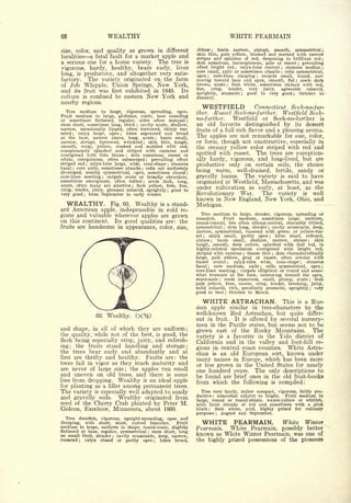 66                            WEALTHY                                                                              WHITE PEARMAIN
                                                                                   obtuse ; basin narrow, abrupt, smooth, symmetrical ;
size, color, and quality as grown in different
                                                                                   skin thin, pale yellow, blushed and marked with narrow
localities  a fatal fault for a market apple and
                                                                                   stripes and splashes of red, deepening to brilliant red                                    ;

a serious one for a home variety. The tree is                                      dots numerous, inconspicuous, pale or russet ; prevailing
                                                                                   effect bright red    calyx-tube conical    stamens median
vigorous, hardy, healthy, bears early, lives                                                                         ;

                                                                                   core small, axile or sometimes abaxile
                                                                                                                                                    ;                         ;

                                                                                                                             cells symmetrical,
long, is productive, and altogether very satis-
                                                                                                                                                    ;


                                                                                   open ; core-lines clasping     carpels small, round, nar-
                                                                                                                                  ;


factory.  The variety originated on the farm                                       rowing toward base and apex, smooth, flat         seeds dark                ;


of Job Whipple, Union Springs, New York,                                           brown, acute ; flesh white, sometimes stained with red,
                                                                                   fine,  crisp,  tender,   very   juicy,  agreeable    subacid,
and its fruit was first exhibited in 1849. Its
                                                                                   sprightly, aromatic ; good to very good ; October to
culture is confined to eastern New York and                                        January.
nearby regions.
                                                                                     WESTFIELD           Connecticut Seek-no-fur-
   Tree medium to large, vigorous, spreading, open.                                ther.  Russet Seek-no-further. Westfield Seek-
Fruit medium to large, globular, conic, base rounding
or sometimes flattened, regular, sides often unequal                           ;
                                                                                   no-further.   Westfield or Seek-no-further is
stem short, sometimes long, thick cavity acute, shallow,
                                               ;                                   an old favorite distinguished by its dessert
narrow, occasionally lipped, often furrowed, thinly rus-                                                   and a pleasing aroma.
                                                                                   fruits of a full rich flavor
seted    calyx large, open     lobes separated and broad
        ;                          ;

at the base, narrow above, long, acute        basin small,             ;
                                                                                   The apples are not remarkable for size, color,
narrow, abrupt, furrowed, wrinkled       skin thin, tough,
                                                       ;
                                                                                   or form, though not unattractive, especially in
smooth, waxy, yellow, washed and mottled with red,                                 the creamy yellow color striped with red and
conspicuously splashed and striped with carmine and
overspread with thin bloom       dots numerous, russet or
                                       ;
                                                                                   spotted with russet. The trees are exception-
white, conspicuous, often submerged       prevailing effect;                       ally hardy, vigorous, and long-lived, but are
striped red   calyx-tube large, wide, cone-shape
                    ;                              stamens                 ;
                                                                                   productive only on certain soils, the choice
basal   core axile, sometimes abaxile
        ;                              cells not uniformly
                                                   ;


developed, usually symmetrical, open, sometimes closed                         ;
                                                                                   being warm, well-drained, fertile, sandy or
core-lines meeting    carpels ovate or broadly obcordate,
                          ;                                                        gravelly loams. The variety is said to have
sometimes emarginate, often tufted      seeds dark, long,
                                                       ;
                                                                                   originated at Westfield, Massachusetts, and was
acute, often many are abortive      flesh yellow, firm, fine,
                                           ;
                                                                                   under cultivation as early, at least, as the
crisp, tender, juicy, pleasant subacid, sprightly ; good to
very good     from September to early winter.
                ;                                                                  Revolutionary War.       The variety is well
                                                                                   known in New England, New York, Ohio, and
  WEALTHY.        Fig. 60. Wealthy is a stand-                                     Michigan.
ard American apple, indispensable in cold re-
                                                                                      Tree medium to large, slender, vigorous, spreading or
gions and valuable wherever apples are grown                                       roundish.    Fruit medium, sometimes large, uniform,
on this continent. Its good qualities are: the                                     round-conical, less often oblong-conical, obscurely ribbed,
fruits are handsome in appearance, color, size,                                    symmetrical ; stem long, slender cavity acuminate, deep, ;


                                                                                   narrow, symmetrical, russeted with green- or yellow-rus-
                                                                                   set;  calyx small, partly open ; lobes short, reflexed,
                                                                                   obtuse ; basin small, shallow, narrow, obtuse ; skin
                                                                                   tough, smooth, deep yellow, splashed with dull red, in
                                                                                   highly-colored specimens overspread with bright red,
                                                                                   striped with carmine     bloom thin dots characteristically
                                                                                                                             ;                  ;


                                                                                   large, pale yellow, gray or russet, often areolar with
                                                                                   russet center      calyx-tube wide, cone-shape ;
                                                                                                               ;
                                                                                                                                        stamens
                                                                                   basal   ;core medium, axile       cells symmetrical,
                                                                                                                                      ;   open ;
                                                                                   core-lines meeting    carpels elliptical or round and some-
                                                                                                                         ;

                                                                                   what truncate at the base, narrowing toward the apex,
                                                                                   mucronate     seeds numerous, small, plump, acute
                                                                                                       ;                                   flesh                         ;


                                                                                   pale yellow, firm, coarse, crisp, tender, breaking, juicy,
                                                                                   mild subacid, rich, peculiarly aromatic, sprightly ; very
                                                                                   good to best October to March.
                                                                                                           ;




                                                                                      WHITE ASTRACHAN.                                                  This       is   a Rus-
                                                                                   sian        apple               similar       in       tree-characters               to the
                                                                                   well-known Red Astrachan, but quite                                                  differ-
                        60.   Wealthy.         (X%)                                ent in fruit. It is offered by several nursery-
                                                                                   men in the Pacific states, but seems not to be
and shape,  in all of which they are uniform;
                                                                                   grown east of the Rocky Mountains. The
the quality, while not of the best, is good, the
                                                                                   variety is a favorite in the Yolo district of
flesh being especially crisp, juicy, and refresh-                                  California and in the valley and foot-hill re-
ing;   the fruits stand handling and storage;
                                                                                   gions in central coast counties. White Astra-
the trees bear early and abundantly and at                                         chan is an old European sort, known under
first are thrifty and healthy.   Faults are: the
trees fail in vigor as they reach maturity and
                                                                                   many names in Europe, which has been more
                                                                                   or less grown in the United States for nearly
are never of large size; the apples run small                                      one hundred years. The only descriptions to
and uneven on old trees, and there is some                                         be found are brief ones in the old fruit-books
loss from dropping. Wealthy is an ideal apple                                      from which the following is compiled:
for planting as a filler among permanent trees.
The variety is especially well adapted to sandy                                      Tree very hardy, rather compact, vigorous, fairly pro-
and gravelly soils. Wealthy originated from                                        ductive   somewhat subject to blight. Fruit medium to
                                                                                               ;


                                                                                   large, round or round-oblate, waxen-yellow or whitish,
seed of the Cherry Crab planted by Peter M.                                        with faint streaks of red and sometimes with a pink
Gideon, Excelsior, Minnesota, about 1860.                                          blush   ;
                                                                                            flesh white, acid, highly prized for culinary
                                                                                   purposes    August and September.
                                                                                                   ;


  Tree dwarfish, vigorous, upright-spreading, open and
drooping, with short, stout, curved branches.
medium
                                                  Fruit                              WHITE PEARMAIN.           White Winter
          to large, uniform in shape, round-conic, slightly                                   White Pearmain, possibly better
                                                                                   Pearmain.
flattened at base, regular, symmetrical   stem short, long
on small fruit, slender cavity acuminate, deep, narrow,
                               ;
                                                               ;
                                                                                   known as White Winter Pearmain, was one of
russeted    calyx closed or partly open
            ;                                 lobes broad,         ;
                                                                                   the highly prized possessions of the pioneers
 