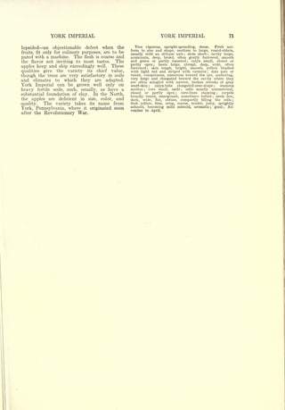 YORK IMPERIAL                                                  YORK IMPERIAL                                71


           an objectionable defect when the         Tree       vigorous,       upright-spreading,    dense.     Fruit uni-
lopsided                                          form    in   size        and shape, medium to      large,   round-oblate,
          only for culinary purposes, are to be
fruits, fit                                       usually with an oblique axis     stem short cavity large,
                                                                                             ;            ;

pared with a machine. The flesh is coarse and     acuminate, deep, broad, often gently furrowed, smooth
the flavor not inviting to most tastes.    The    and green or partly russeted        calyx small, closed or
                                                                                                 ;


                                                  partly open      basin large, abrupt, deep, wide, often
apples keep and ship exceedingly well. These
                                                                       ;

                                                  furrowed     skin tough, bright, smooth, yellow blushed
                                                               ;


qualities give the variety its chief value,       with light red and striped with carmine        dots pale or
                                                                                                          ;


though the trees are very satisfactory in soils   russet, conspicuous, numerous toward the eye, scattering,
and climates to which they are adapted.           very large and elongated toward the cavity where they
                                                  are often mingled with narrow, broken streaks of gray
York Imperial can be grown well only on           scarf-skin     calyx-tube
                                                                   ;         elongated-cone-shape      stamens    ;


heavy fertile soils, such, usually, as have a     median   ;
                                                             core small, axile    cells usually symmetrical,
                                                                                         ;

                                                  closed or    partly open     core-lines  clasping     carpels
substantial foundation of clay. In the North,                                        ;                                ;


                                                  broadly round, emarginate, sometimes tufted       seeds few,;

the apples are deficient in size, color, and      dark, wide, flat, obtuse, compactly filling the cells                    ;


quality.   The variety takes its name from        flesh yellow, firm, crisp, coarse, tender, juicy, sprightly
                                                  subacid, becoming mild subacid, aromatic ; good ; No-
York, Pennsylvania, where it originated soon      vember to April.
after the Revolutionary War.
 