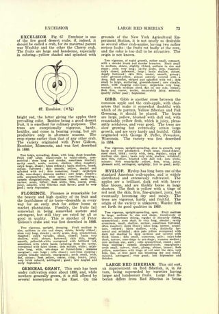 EXCELSIOR                                                      LARGE RED SIBERIAN                                                                         73

  EXCELSIOR.         Fig. 67.   Excelsior is one                                    grounds of the New York Agricultural Ex-
of the few good dessert crabs, if, indeed, it                                       periment Station, it is not nearly so desirable
should be called a crab, for its maternal parent                                    as several other crab-apples, having two rather
was Wealthy and the other the Cherry crab.                                          serious faults: the fruits rot badly at the core,
The fruits are large and handsome, especially                                       and the color is too dull to be attractive. The
in coloring yellow shaded and splashed with                                         origin is not known.
                                                                                      Tree vigorous, of rapid growth, rather small, compact,
                                                                                    with a slender trunk and slender branches. Fruit small
                                                                                    to medium, oblate, slightly ribbed, uniform in size and
                                                                                    shape ; stem very long     cavity acute, deep, russeted
                                                                                                                                       ;                                                       ;


                                                                                    calyx closed, pubescent, large    basin shallow, obtuse,   ;


                                                                                    deeply furrowed     skin thin, tender, smooth, greasy
                                                                                                                  ;                                                                            ;

                                                                                    color greenish-yellow, almost entirely covered with a
                                                                                    deep, dull scarlet, striped and splashed with red   dots                                            ;

                                                                                    small to large, scattering, greenish-russet ; core abaxile,
                                                                                    small, with clasping core-lines     calyx-tube very long,      ;

                                                                                    conical   seeds medium sized, flat on one side, obtuse ;
                                                                                              ;

                                                                                    flesh firm,  coarse, tender, moderately juicy, subacid ;
                                                                                    quality rather poor ; September.

                                                                                      GIBB. Gibb is      another cross between the
                                                                                    common apple and     the crab-apple, with char-
                                                                                    acters that make it somewhat doubtful with
                      67. Excelsior.                                                which of its parents, Yellow Siberian and Fall
                                                                                    Greening, it should be placed.      The fruits
bright red, the latter giving the apples their                                      are large, yellow, blushed with dull red, with
prevailing color. Besides being a good dessert                                      remarkably yellow flesh, which is juicy, pleas-
fruit, it is excellent for culinary purposes. The                                   antly acidulous, and very good. The trees are
trees    are    exceptionally    vigorous,   hardy,                                 slow growing but eventually attain large
healthy, and come in bearing young, but are                                         growth, and are very hardy and fruitful. Gibb
productive only in alternate seasons.          The                                  originated with George P. Peffer, Pewaukee,
crop ripens earlier than that of any other crab.                                    Wisconsin.    The variety was first described
The         variety     originated with Peter Gideon,                               in 1884.
Excelsior,           Minnesota, and was first described                               Tree vigorous, upright-spreading, slow in growth, very
in 1880.
                                                                                    hardy and very productive.     Fruit large, round-oblate                                                   ;

                                                                                    stem short, thick cavity wide, deep, regular
                                                                                                                      ;              calyx of                               ;
   Tree large, spreading, dense, with long, stout branches.                         medium size, open basin very wide, shallow, wrinkled ;
                                                                                                                          ;
Fruit very large, round-ovate to round-oblate, sym-                                 skin thin, yellow, blushed with dull red      dots white,
            stem long and slender, sometimes bracted
                                                                                                                                                                    ;
metrical     ;
                                                                                ;
                                                                                    minute    flesh
                                                                                              ;     remarkably yellow, firm, crisp, juicy,
cavity small, acute, narrow, shallow, often russeted                            ;
                                                                                    pleasant acid, astringent, sprightly fair to good   early.             ;                        ;

calyx large, closed ; lobes reflexed basin shallow, broad,
                                                  ;


obtuse,   furrowed    skin smooth, yellow, shaded and
                           ;


splashed with red      dots numerous, russet
                               ;                 calyx-tube       ;                   HYSLOP. Hyslop has long been one of the
wide, cone-shape    stamens median core large, abaxile
                       ;                              ;                         ;
                                                                                    standard American crab-apples, and is widely
cells  unsymmetrical, wide open       core-lines clasping ;
                                                  ;
                                                                                    distributed  and extensively cultivated. The
carpels  elongated-ovate, sometimes tufted ; seeds long,
narrow,  acute, tufted ; flesh white, firm, coarse, crisp,                          apples are   a brilliant, dark red with heavy
juicy, subacid, with Siberian crab flavor ; good to very                            blue bloom, and are thickly borne in large
good early September.
        ;
                                                                                    clusters.  The flesh is yellow with a tinge of
   FLORENCE.         Florence ia remarkable for                                     red next the skin, firm, fine-grained, juicy, but
the beauty and high quality of its fruit and                                        eventually becoming dry and mealy.           The
the fruitfulness of its treesdesirable in every                                     trees are vigorous, hardy, and fruitful.     The
way for an early crab for either home or                                            origin of the variety is unknown; Warder first
market plantations. Possibly, the fruits fail                                       set forth its                 good                qualities in 1869.
somewhat in being somewhat austere and                                                Tree vigorous, upright-spreading, open. Fruit medium
astringent, but still they are rated by all as                                      to large, uniform in size and shape, round-ovate or
good in quality. This is another of Peter                                           obovate, sometimes oblong, regular or obscurely ribbed,
                                                                                    symmetrical     stem short to very long, slender         cavity                             ;
Gideon's crabs and was first described in 1886.                                                   ;


                                                                                    acuminate, small, shallow, narrow, sometimes furrowed,
                                                                                    often russeted   calyx closed    lobes long, narrow, acumi-
  Tree vigorous,               upright,     drooping.     Fruit       medium   in
                                                                                           reflexed
                                                                                                          ;

                                                                                                       basin shallow, wide,
                                                                                                                                           ;

                                                                                                                                               fur-
                                                                                    nate,                     ;                   distinctly
size,uniform in size and shape, oblate, faintly ribbed                          ;
                                                                                    rowed and wrinkled       skin pale yellow overspread with
                                                                                                                                  ;
stem very long, slender cavity acute, deep, symmetrical,
                                        ;
                                                                                    dark red shading to deep carmine          and covered with
russeted    calyx variable, small, closed ;              very         basin
             ;
                                                                                    thick bloom      dots small, numerous, pale
                                                                                                      ;                                 calyx-tube                      ;

shallow,   wide, obtuse, furrowed ; skin thin, tough,                               short, narrow, cone-shape to urn-shape      stamens median ;               ;

smooth, yellowish-white overspread with brilliant red,                              core medium size, axile     cells symmetrical, closed
                                                                                                                                       ;
                                                                                                                                              core-                                     ;
sometimes with white bands radiating from the cavity,                               lines                                             emarginate ;
                                                                                           meeting ;    carpels   elongated-ovate,
overspread with faint bloom      dots minute, white
                                             ;         calyx-            ;
                                                                                    seeds small, narrow, short, plump, obtuse, brown           flesh                                    ;
tube long, wide, urn-shape or funnel-form ; stamens
                                                                                    yellow, sometimes with tinge of red next the skin, very
marginal ; core large     cells closed ; core-lines clasping ;
                                    ;
                                                                                    firm, fine, at first juicy but becoming dry and mealy,
carpels broadly obovate, emarginate ; seeds small, wide,                            subacid, astringent      very good     late September and
                                                                                                                              ;                        ;

flat, obtuse    flesh yellow, coarse, crisp, tender, juicy,
                 ;
                                                                                    October.
very brisk subacid, astringent ; good ; late August and
early September.
                                                                                       LARGE RED SIBERIAN.                                                         This old                 sort,
    GENERAL GRANT.         This crab has been                                       an improvement on Red Siberian, is, in its
under cultivation since about 1890, and, while                                      turn, being superseded by varieties having
nowhere generally grown, it is still offered by                                     larger and handsomer fruits. Large Red Si-
several nurserymen in the East.        On the                                       berian differs from Red Siberian in being
 