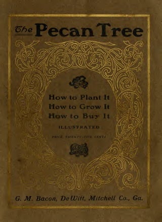 Pecan Tre


               ow to             Plant   I

            Howto Grow                   It
            How to Buy                   It

                 ILLUSTRATED
             /'K/Cf.,   /   L>




G.   M. Bacon, Be Witt,           Mitchell    Co.,   Ga.
 