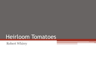 Heirloom Tomatoes
Robert Whirry
 