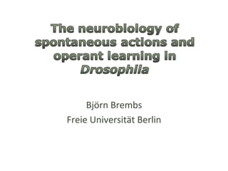 Björn Brembs Freie Universität Berlin 