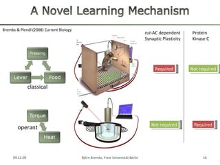 The neurobiology of spontaneous actions and operant learning in ...