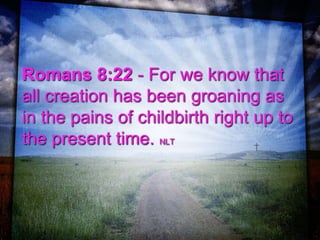 Romans 8:22 - For we know that
all creation has been groaning as
in the pains of childbirth right up to
the present time. NLT
 