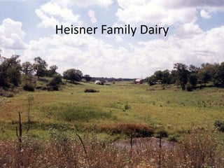 Heisner Family Dairy 