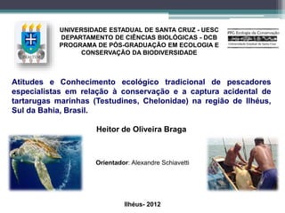 UNIVERSIDADE ESTADUAL DE SANTA CRUZ - UESC 
DEPARTAMENTO DE CIÊNCIAS BIOLÓGICAS - DCB 
PROGRAMA DE PÓS-GRADUAÇÃO EM ECOLOGIA E 
CONSERVAÇÃO DA BIODIVERSIDADE 
Atitudes e Conhecimento ecológico tradicional de pescadores 
especialistas em relação à conservação e a captura acidental de 
tartarugas marinhas (Testudines, Chelonidae) na região de Ilhéus, 
Sul da Bahia, Brasil. 
Heitor de Oliveira Braga 
Orientador: Alexandre Schiavetti 
Ilhéus- 2012 
 