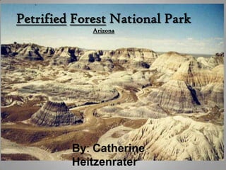 Petrified Forest National Park
             Arizona




         By: Catherine
         Heitzenrater
 