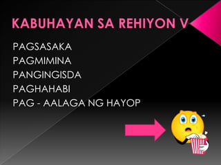 PAGSASAKA
PAGMIMINA
PANGINGISDA
PAGHAHABI
PAG - AALAGA NG HAYOP
 