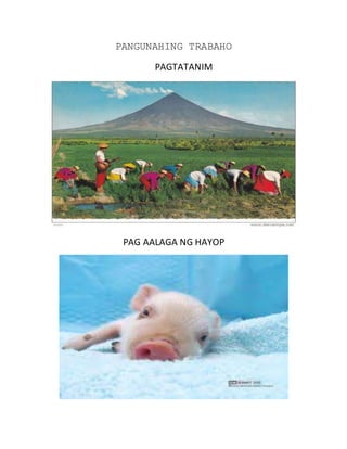 PANGUNAHING TRABAHO 
PAGTATANIM 
PAG AALAGA NG HAYOP 
 