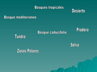 Pradera Desierto Bosque mediterraneo Bosque caducifolio Tundra Zonas Polares Selva Bosques tropicales 