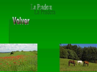 La Pradera Volver 