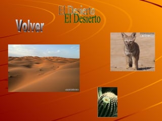 El Desierto Volver 