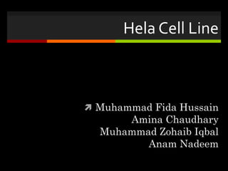 Hela Cell Line
 Muhammad Fida Hussain
Amina Chaudhary
Muhammad Zohaib Iqbal
Anam Nadeem
 