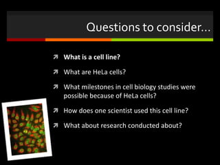 Questions to consider…
 What is a cell line?
 What are HeLa cells?
 What milestones in cell biology studies were
possible because of HeLa cells?
 How does one scientist used this cell line?
 What about research conducted about?
 