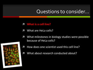 Questions to consider…
 What is a cell line?
 What are HeLa cells?
 What milestones in biology studies were possible
because of HeLa cells?
 How does one scientist used this cell line?
 What about research conducted about?
 