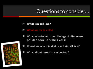Questions to consider…
 What is a cell line?
 What are HeLa cells?
 What milestones in cell biology studies were
possible because of HeLa cells?
 How does one scientist used this cell line?
 What about research conducted ?
 