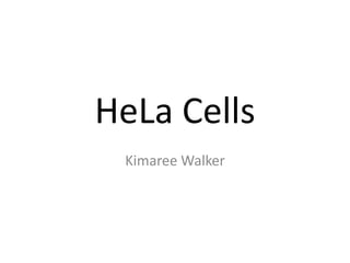 HeLa Cells
 Kimaree Walker
 