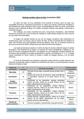 Instituto Nacional
de Tecnología Agropecuaria

Estación Experimental
Agropecuaria Bordenave

Heladas tardías sobre el trigo (noviembre 2007)
El cultivo de trigo, es muy resistente a frío durante el invierno, pero se hace muy
susceptible durante su crecimiento primaveral. El cultivo con buenas condiciones climáticas y
alta fertilidad de suelo (nitrógeno) tiene mayor susceptibilidad de daño por tener crecimiento
lujurioso y alto contenido de agua. En cambio, la sequía rustifica a las plantas y disminuye el
contenido de agua.
Sin embargo una buena humedad de suelo, temperatura templadas y alta fertilidad
retrasan la madurez por lo que el daño por heladas en estas plantas puede ser menor que en
las que están más avanzadas.
El peligro de heladas tardías es uno de los riesgos climáticos más importantes en
nuestra zona, junto a la sequía, para el cultivo de trigo. Si bien el periodo libre de heladas es
entre 145-150 días como para planificar fechas de siembra, ciclo, etc. la variación anual en la
fecha de ocurrencia de última helada hace que este fenómeno sea riesgoso.
Las bajas temperaturas afectan al cultivo de trigo de manera diferente según el estado
fenológico o de desarrollo de la planta y el periodo de mayor sensibilidad a heladas es, sin
duda, el cercano a espigazón-floración. Las espigas con sus espiguillas y órganos florales son
las partes más sensibles a las bajas temperaturas y apenas una helada de -1° o -2° C puede
causar esterilidad en flores, daños en aristas o partes de espigas blancas y en los tallos
inferiores.
A modo de información se presenta el siguiente cuadro donde se puede observar que
síntomas se presentan según el estado de crecimiento del cultivo y a que temperatura causan
daños por heladas al trigo:
Estado de
crecimiento

T°
nocivas

Macollaje

-11

Encañazón

-4

Espiga
embuchada

-2

Espigazón

-1

Floración

-1

Estado lechoso

-2

Estado de
grano pastoso

-2

Síntomas principales
Clorosis de las hojas, quemado de las puntas, olor a
silaje.
Muerte del punto de crecimiento, hojas amarillentas
o quemadas, lesiones en la parte inferior de los
tallos.
Esterilidad de las espiguillas, espigas atrapadas
dentro del tallo, daños en la parte inferior de los
tallos, decoloración de las hojas.
Esterilidad de las espiguillas, aristas blancas,
espigas blancas, daños en la parte inferior de los
tallos, decoloración de las hojas.
Esterilidad de las espiguillas, aristas blancas,
espigas blancas, daños en la parte inferior de los
tallos, decoloración de las hojas.
Aristas blancas, espigas blancas, daños en la parte
inferior de los tallos, decoloración de las hojas,
granos chuzos y descoloridos.
Granos arrugados y descoloridos, baja germinación

Efectos sobre
el rendimiento
Leve a
moderado
Moderado a
severo
Moderado a
severo
Severo

Severo
Moderado a
severo
Leve a
moderado
1

Estación Experimental Agropecuaria INTA Bordenave – Ruta Prov. Nro. 76, km. 36.5 - 8187 Bordenave - Buenos Aires

 