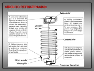CIRCUITO REFRIGERACION
 