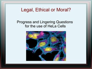 Legal, Ethical or Moral?
Progress and Lingering Questions
for the use of HeLa Cells
 