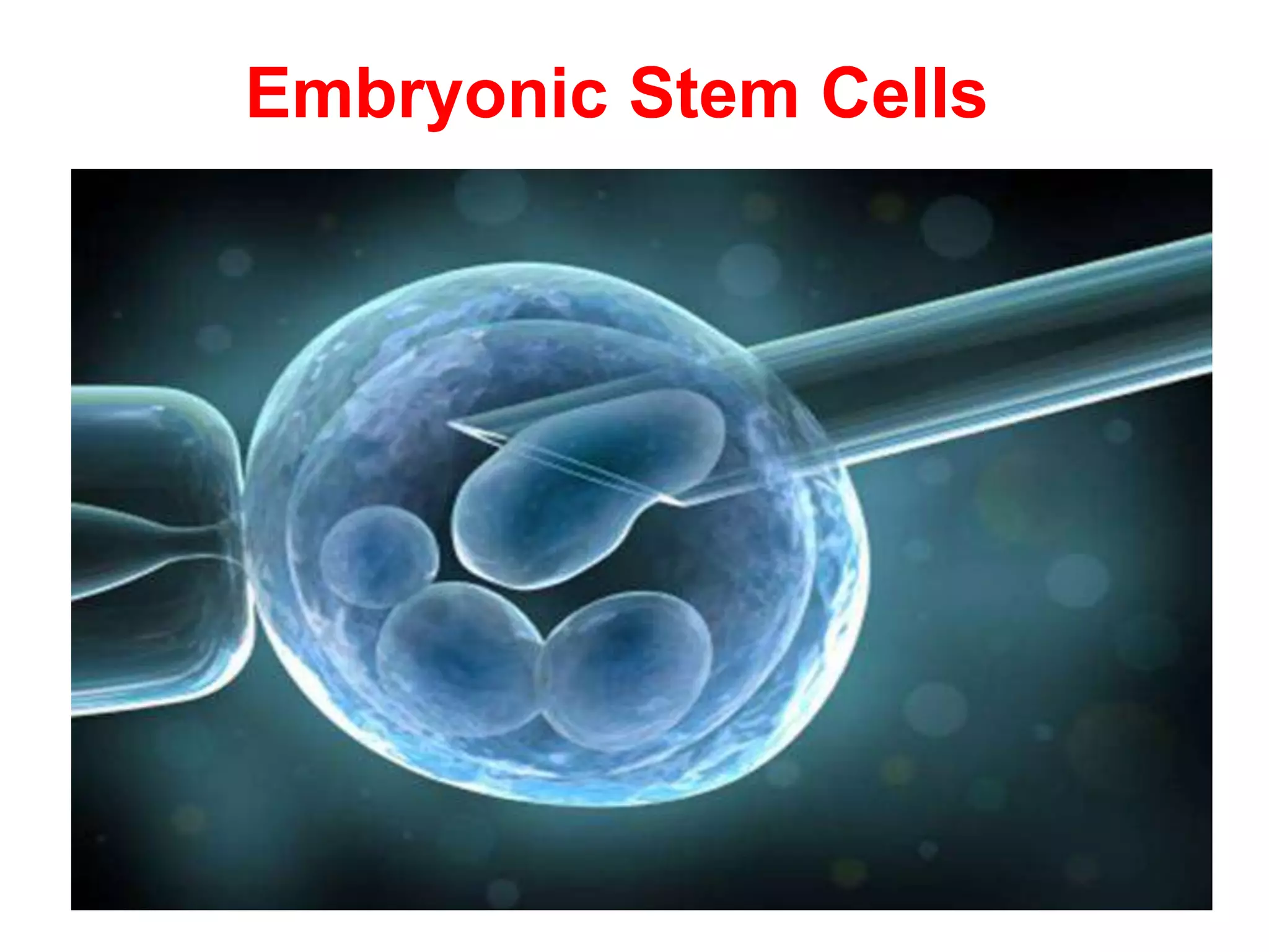 Embryonic Stem Cells
 