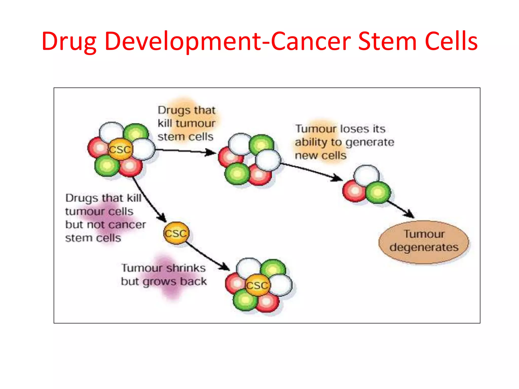 Drug Development-Cancer Stem Cells
Reya, T., et al. Nature, 2001
 
