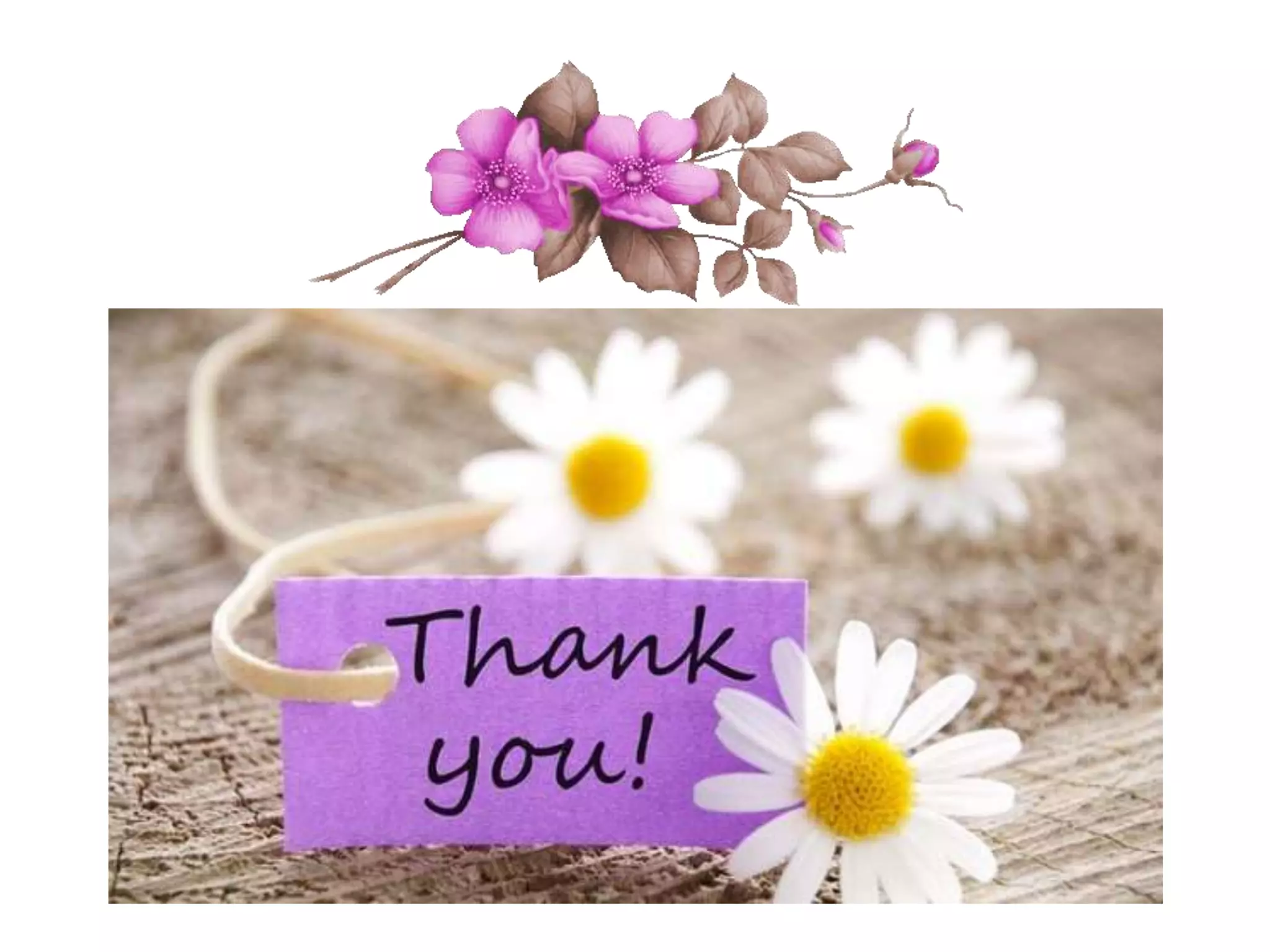 Stem_Cells_Presentation By Helal Abu-EL-Zahab