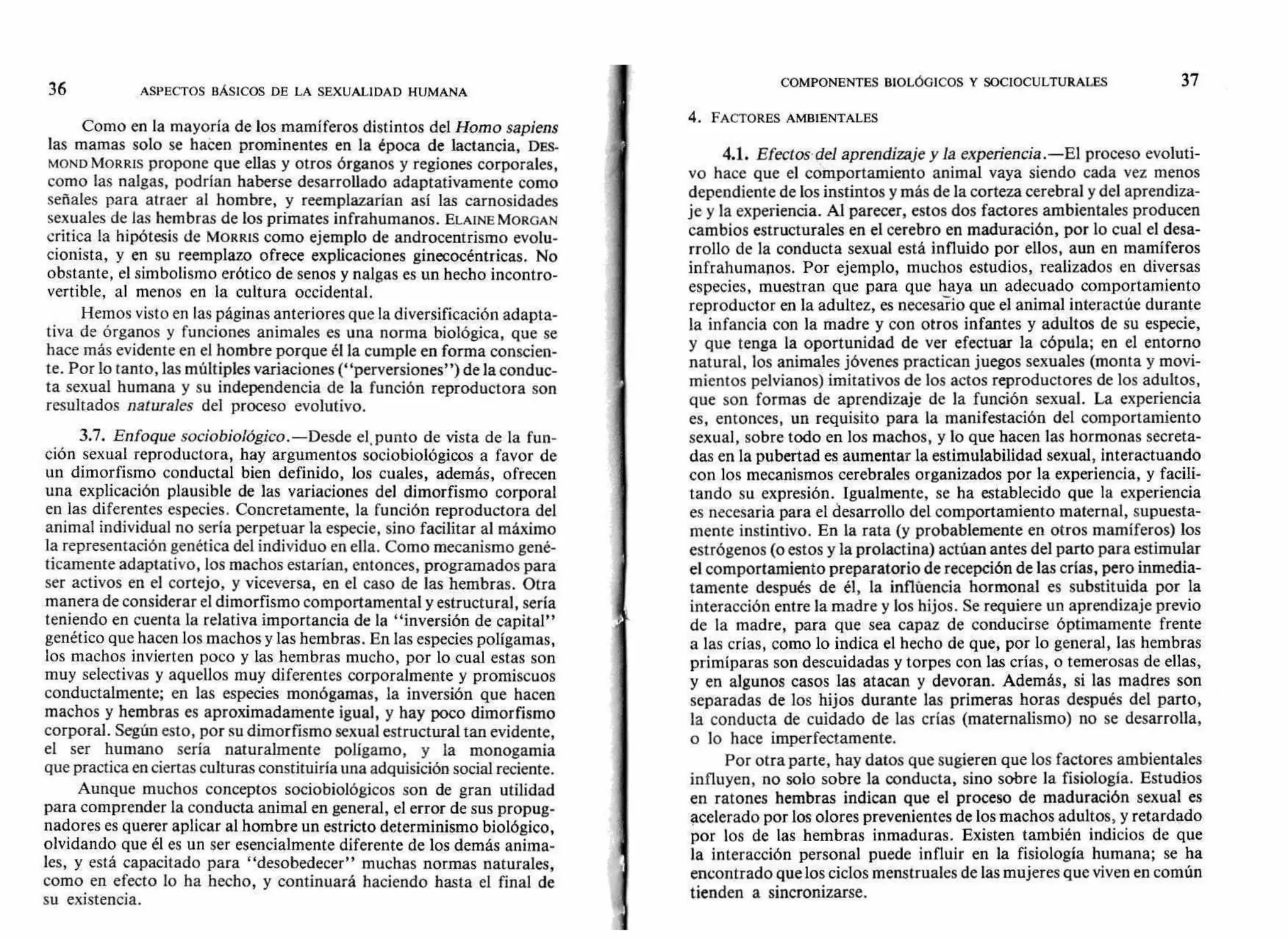 36 ASPECTOS BÁSICOS DE LA SEXUALIDAD HUMANA
COMPONENTES BIOLÓGICOS Y SOCIOCULTURALES 37
Como en la mayoría de los mamíferos distintos del Horno sapiens
las mamas solo se hacen prominentes en la época de lactancia, DES-
MOND MORRIS propone que ellas y otros órganos y regiones corporales,
como las nalgas, podrían haberse desarrollado adaptativamente como
señales para atraer al hombre, y reemplazarían así las carnosidades
sexuales de las hembras de los primates infrahumanos. ELAINE MORGAN
critica la hipótesis de MORRIS como ejemplo de androcentrismo evolu-
cionista, y en su reemplazo ofrece explicaciones ginecocéntricas. No
obstante, el simbolismo erótico de senos y nalgas es un hecho incontro-
vertible, al menos en la cultura occidental.
Hemos visto en las páginas anteriores que la diversificación adapta-
tiva de órganos y funciones animales es una norma biológica, que se
hace más evidente en el hombre porque él la cumple en forma conscien-
te. Por lo tanto, las múltiples variaciones ("perversiones") de la conduc-
ta sexual humana y su independencia de la función reproductora son
resultados naturales del proceso evolutivo.
3.7. Enfoque sociobiológico.—Desde el, punto de vista de la fun-
ción sexual reproductora, hay argumentos sociobiológicos a favor de
un dimorfismo conductal bien definido, los cuales, además, ofrecen
una explicación plausible de las variaciones del dimorfismo corporal
en las diferentes especies. Concretamente, la función reproductora del
animal individual no sería perpetuar la especie, sino facilitar al máximo
la representación genética del individuo en ella. Como mecanismo gené-
ticamente adaptativo, los machos estarían, entonces, programados para
ser activos en el cortejo, y viceversa, en el caso de las hembras. Otra
manera de considerar el dimorfismo comportamental y estructural, sería
teniendo en cuenta la relativa importancia de la "inversión de capital"
genético que hacen los machos y las hembras. En las especies polígamas,
los machos invierten poco y las hembras mucho, por lo cual estas son
muy selectivas y aquellos muy diferentes corporalmente y promiscuos
conductalmente; en las especies monógamas, la inversión que hacen
machos y hembras es aproximadamente igual, y hay poco dimorfismo
corporal. Según esto, por su dimorfismo sexual estructural tan evidente,
el ser humano sería naturalmente polígamo, y la monogamia
que practica en ciertas culturas constituiría una adquisición social reciente.
Aunque muchos conceptos sociobiológicos son de gran utilidad
para comprender la conducta animal en general, el error de sus propug-
nadores es querer aplicar al hombre un estricto determinismo biológico,
olvidando que él es un ser esencialmente diferente de los demás anima-
les, y está capacitado para "desobedecer" muchas normas naturales,
como en efecto lo ha hecho, y continuará haciendo hasta el final de
su existencia.
4. FACTORES AMBIENTALES
4.1. Efectos del aprendizaje y la experiencia.—E1 proceso evoluti-
vo hace que el comportamiento animal vaya siendo cada vez menos
dependiente de los instintos y más de la corteza cerebral y del aprendiza-
je y la experiencia. Al parecer, estos dos factores ambientales producen
cambios estructurales en el cerebro en maduración, por lo cual el desa-
rrollo de la conducta sexual está influido por ellos, aun en mamíferos
infrahumanos. Por ejemplo, muchos estudios, realizados en diversas
especies, muestran que para que haya un adecuado comportamiento
reproductor en la adultez, es necesario que el animal interactúe durante
la infancia con la madre y con otros infantes y adultos de su especie,
y que tenga la oportunidad de ver efectuar la cópula; en el entorno
natural, los animales jóvenes practican juegos sexuales (monta y movi-
mientos pelvianos) imitativos de los actos reproductores de los adultos,
que son formas de aprendizaje de la función sexual. La experiencia
es, entonces, un requisito para la manifestación del comportamiento
sexual, sobre todo en los machos, y lo que hacen las hormonas secreta-
das en la pubertad es aumentar la estimulabilidad sexual, interactuando
con los mecanismos cerebrales organizados por la experiencia, y facili-
tando su expresión. Igualmente, se ha establecido que la experiencia
es necesaria para el desarrollo del comportamiento maternal, supuesta-
mente instintivo. En la rata (y probablemente en otros mamíferos) los
estrógenos (o estos y la prolactina) actúan antes del parto para estimular
el comportamiento preparatorio de recepción de las crías, pero inmedia-
tamente después de él, la influencia hormonal es substituida por la
interacción entre la madre y los hijos. Se requiere un aprendizaje previo
de la madre, para que sea capaz de conducirse óptimamente frente
a las crías, como lo indica el hecho de que, por lo general, las hembras
primíparas son descuidadas y torpes con las crías, o temerosas de ellas,
y en algunos casos las atacan y devoran. Además, si las madres son
separadas de los hijos durante las primeras horas después del parto,
la conducta de cuidado de las crías (maternalismo) no se desarrolla,
o lo hace imperfectamente.
Por otra parte, hay datos que sugieren que los factores ambientales
influyen, no solo sobre la conducta, sino sobre la fisiología. Estudios
en ratones hembras indican que el proceso de maduración sexual es
acelerado por los olores prevenientes de los machos adultos, y retardado
por los de las hembras inmaduras. Existen también indicios de que
la interacción personal puede influir en la fisiología humana; se ha
encontrado que los ciclos menstruales de las mujeres que viven en común
tienden a sincronizarse.
 
